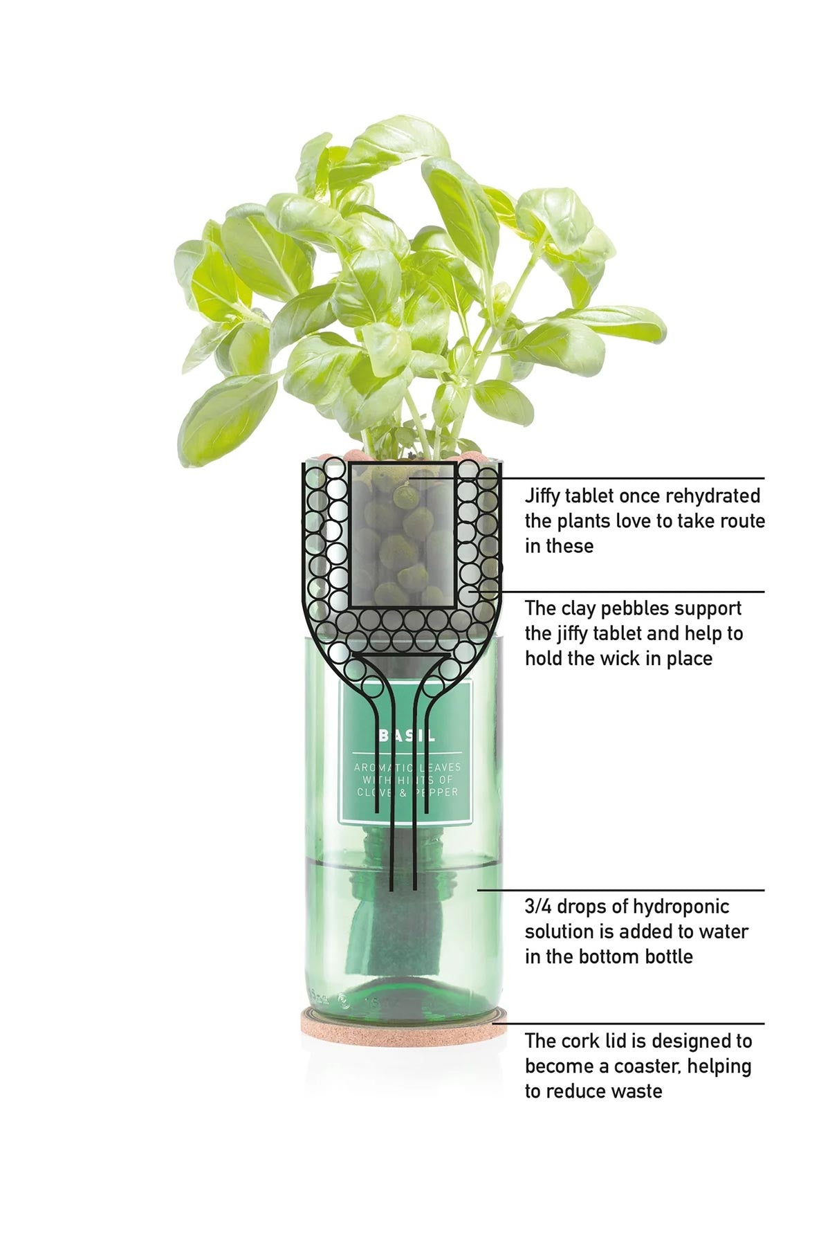Hydro-Herb Thyme Hydro Herb Kit