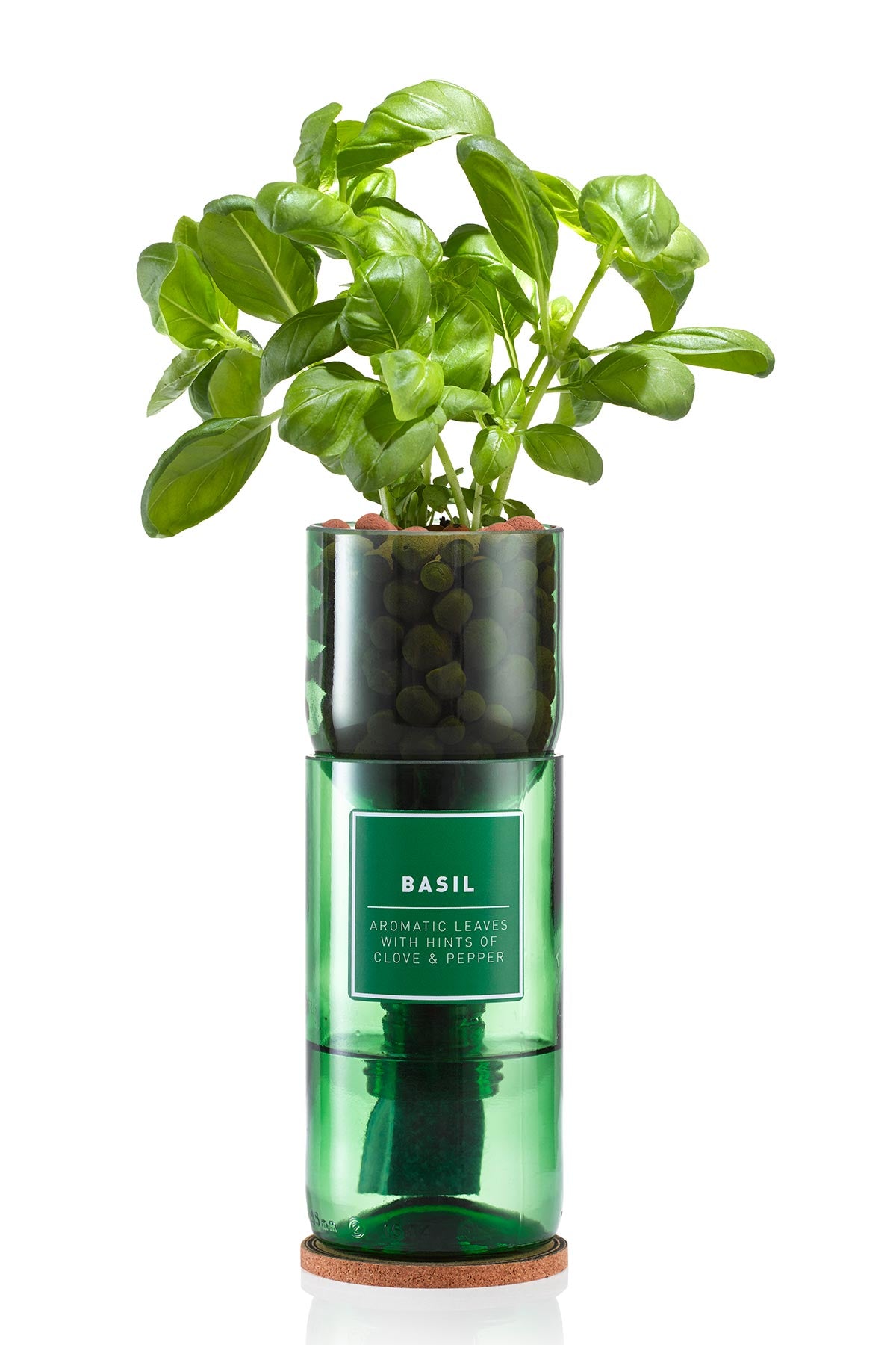 Grow your own basil herb kit