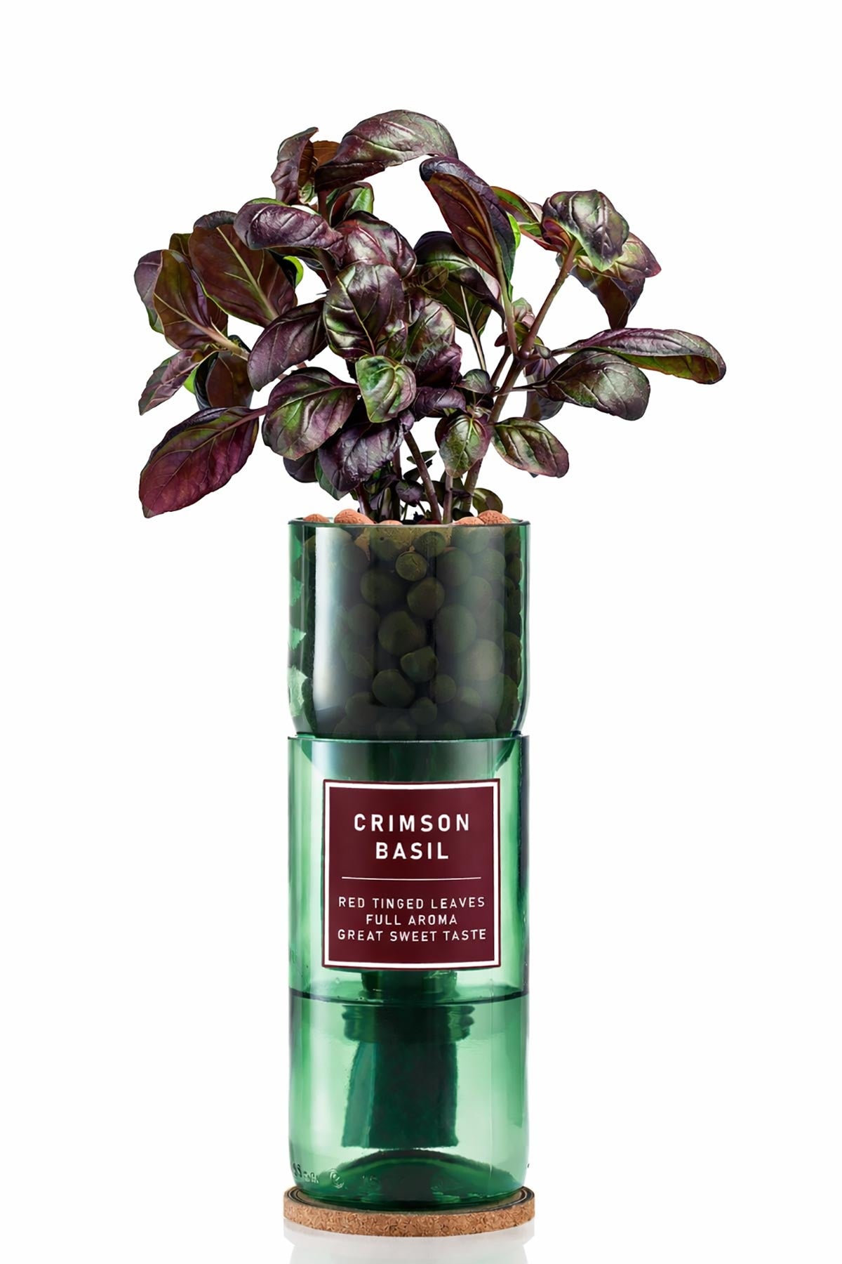 Grow your own basil herb kit