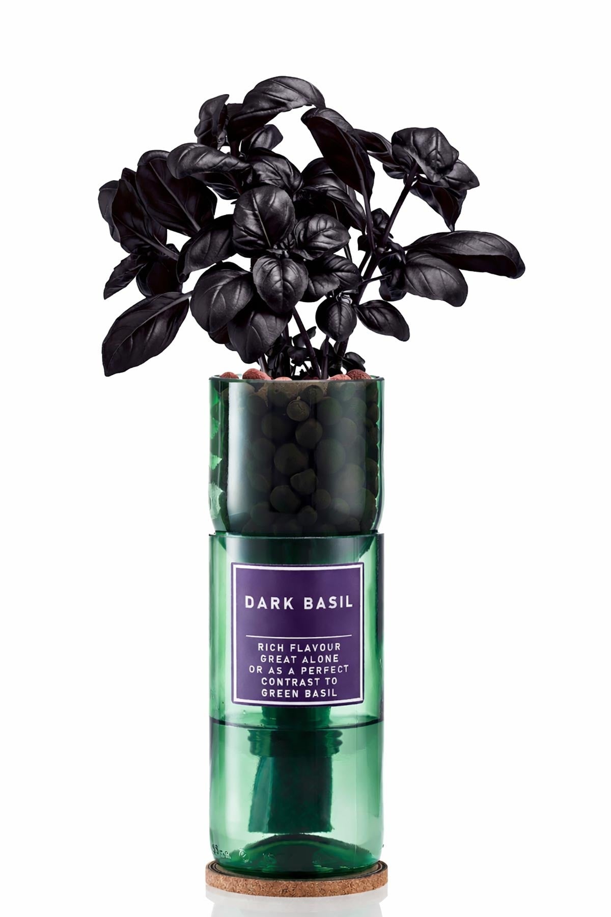 Grow your own dark basil herb kit