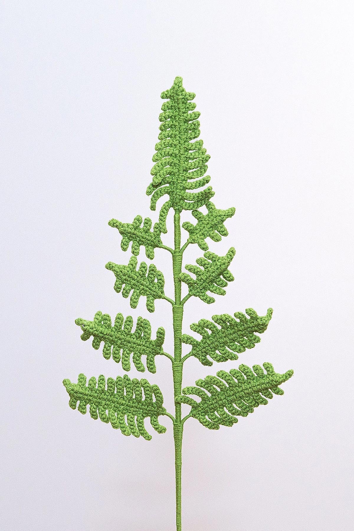 Handmade fern crochet flower stem in green cotton yarn, styled as natural botanical décor at Urban Wild