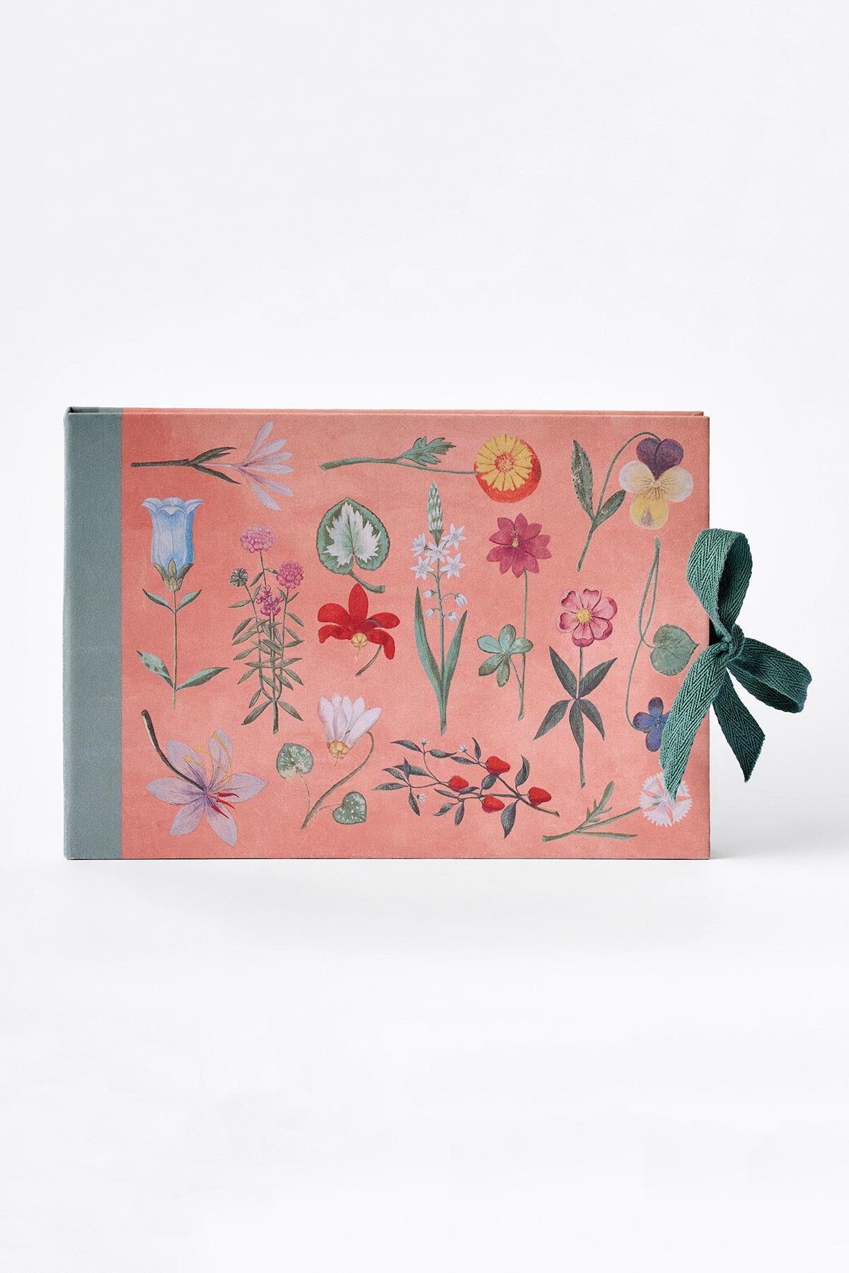 Festival of Flowers artist sketchbook by Roomytown
