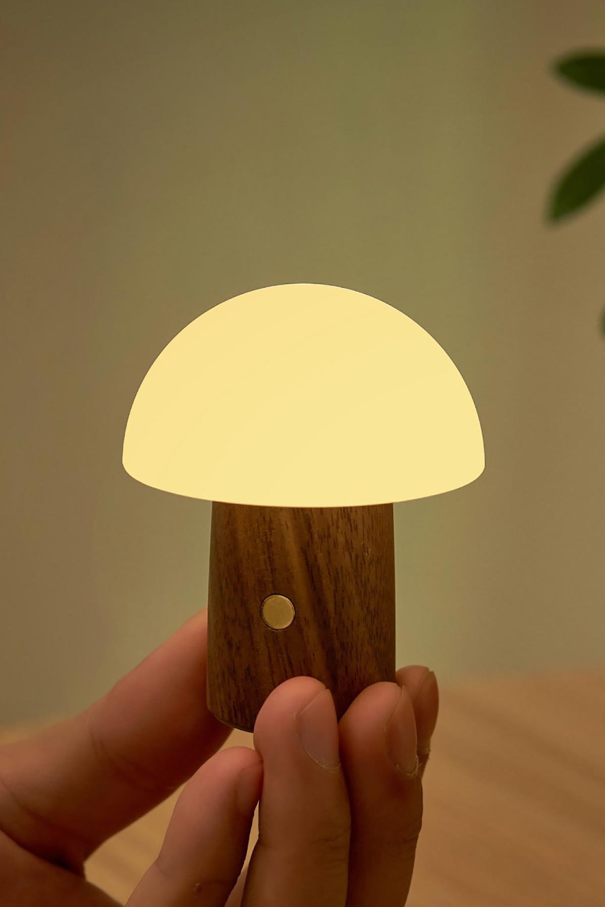 Warm LED glow from Alice Mini Walnut lamp