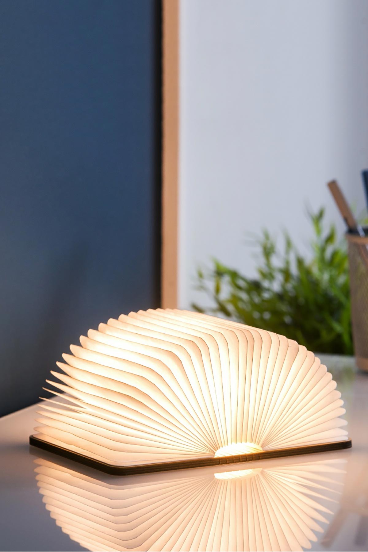 Gingko Design Mini Smart Book Light in Natural Walnut at Urban Wild