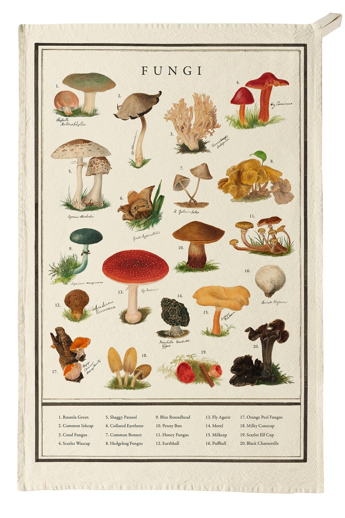 Illustrated mushroom organic cotton tea towel