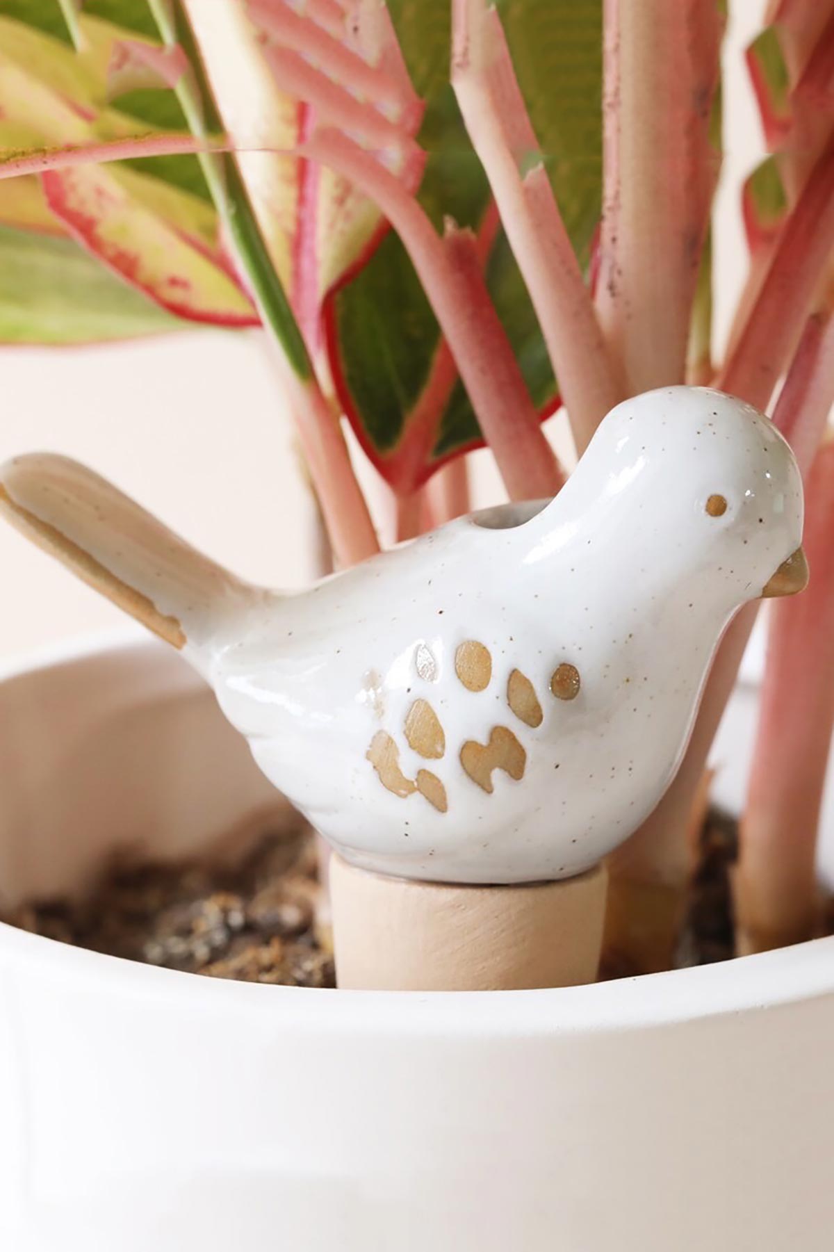 Lisa Angel ceramic birth plant watering spike