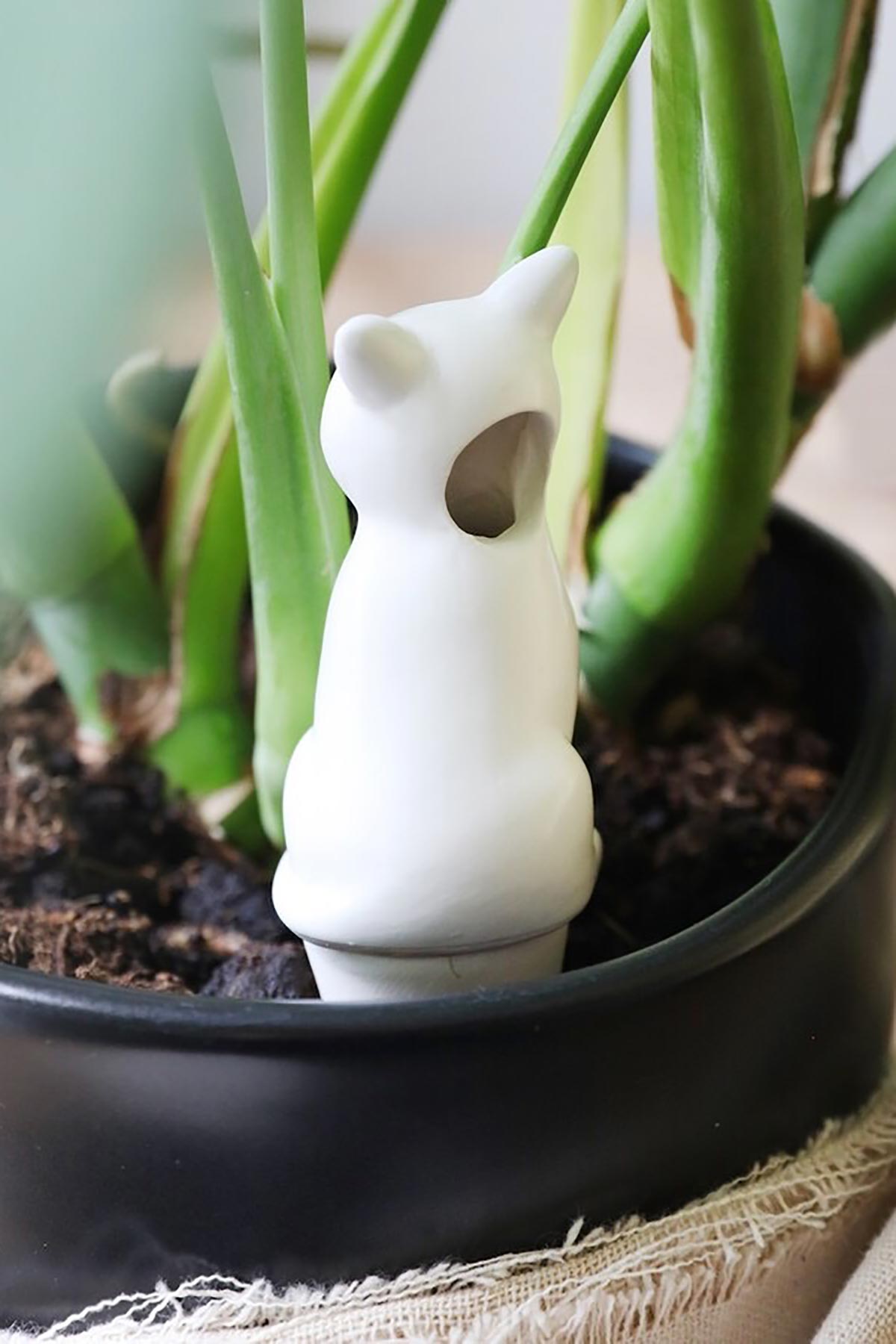 Close-up of ceramic cat watering spike