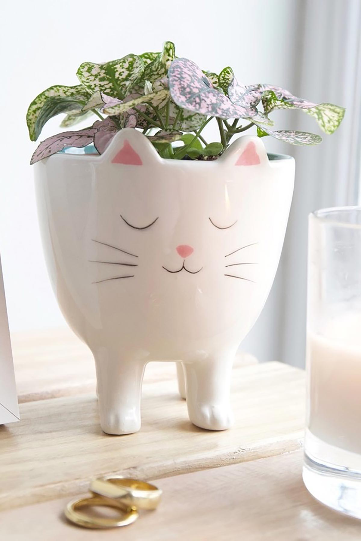 Ceramic cat-shaped planter by Lisa Angel with minimal design lifestyle table
