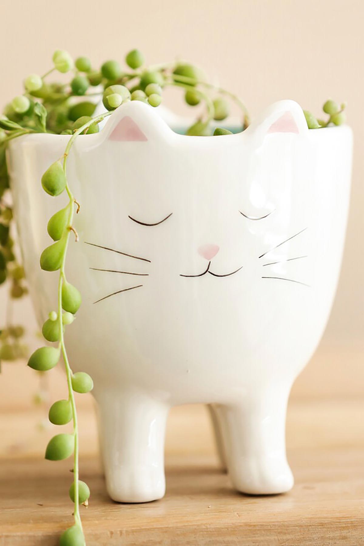Ceramic cat-shaped planter by Lisa Angel with minimal design lifestyle