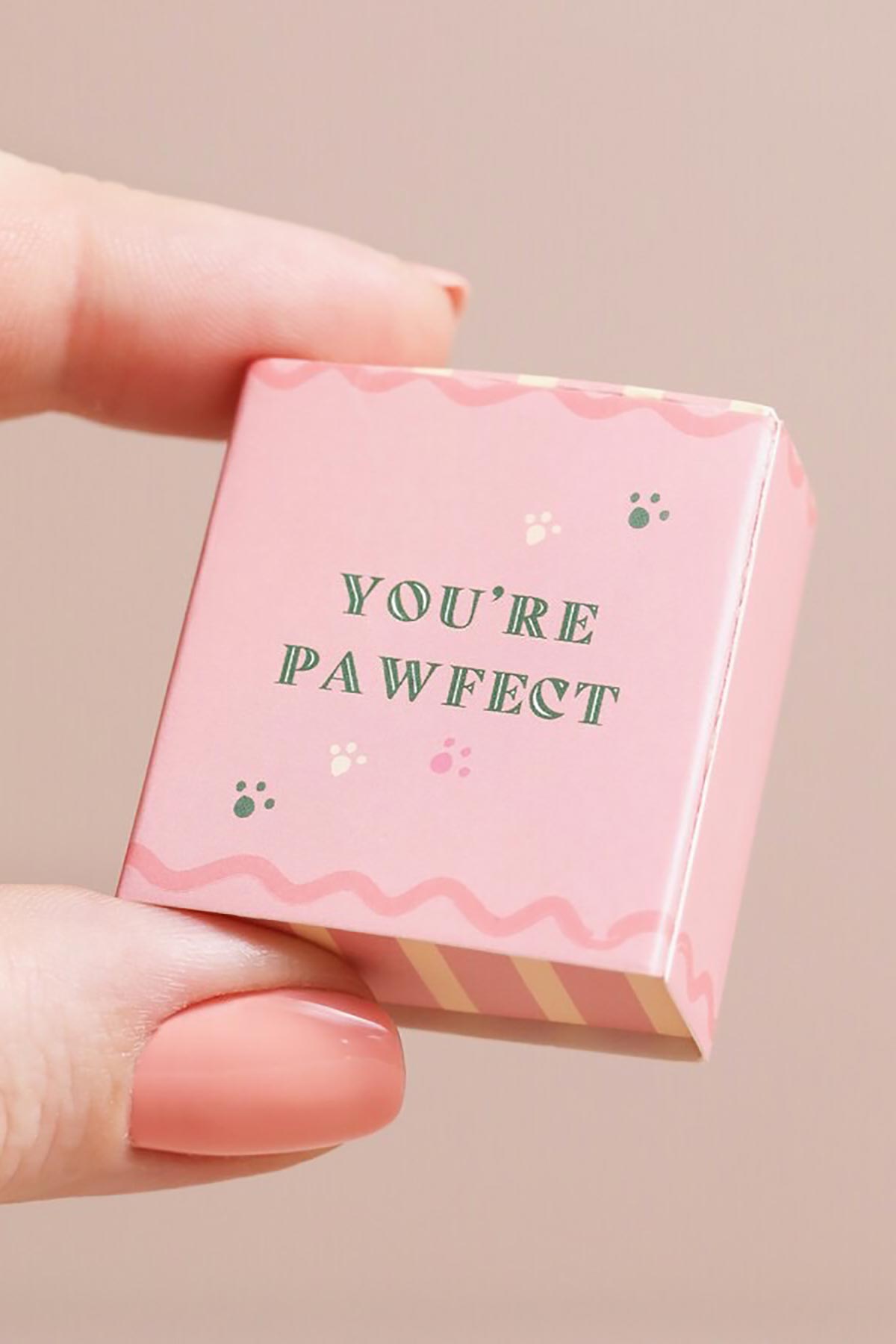 Lisa Angel Tiny Matchbox Ceramic Token Dog gift box