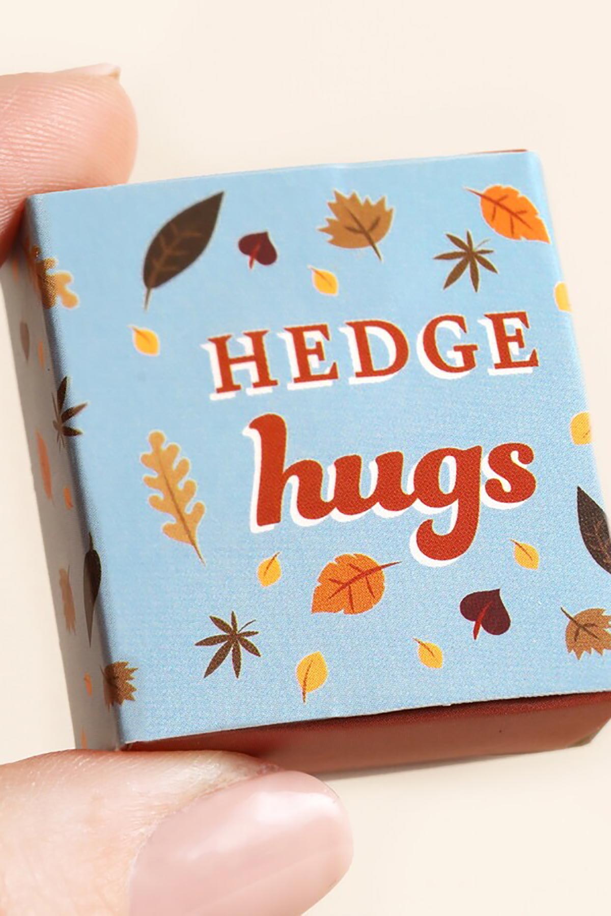 Lisa Angel Tiny Matchbox Ceramic Token Hedgehog box