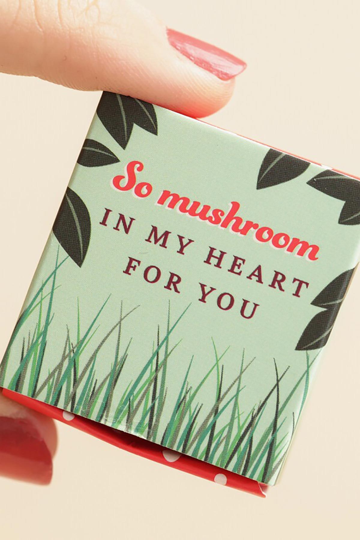 Lisa Angel Tiny Matchbox Ceramic Token Mushroom gift box