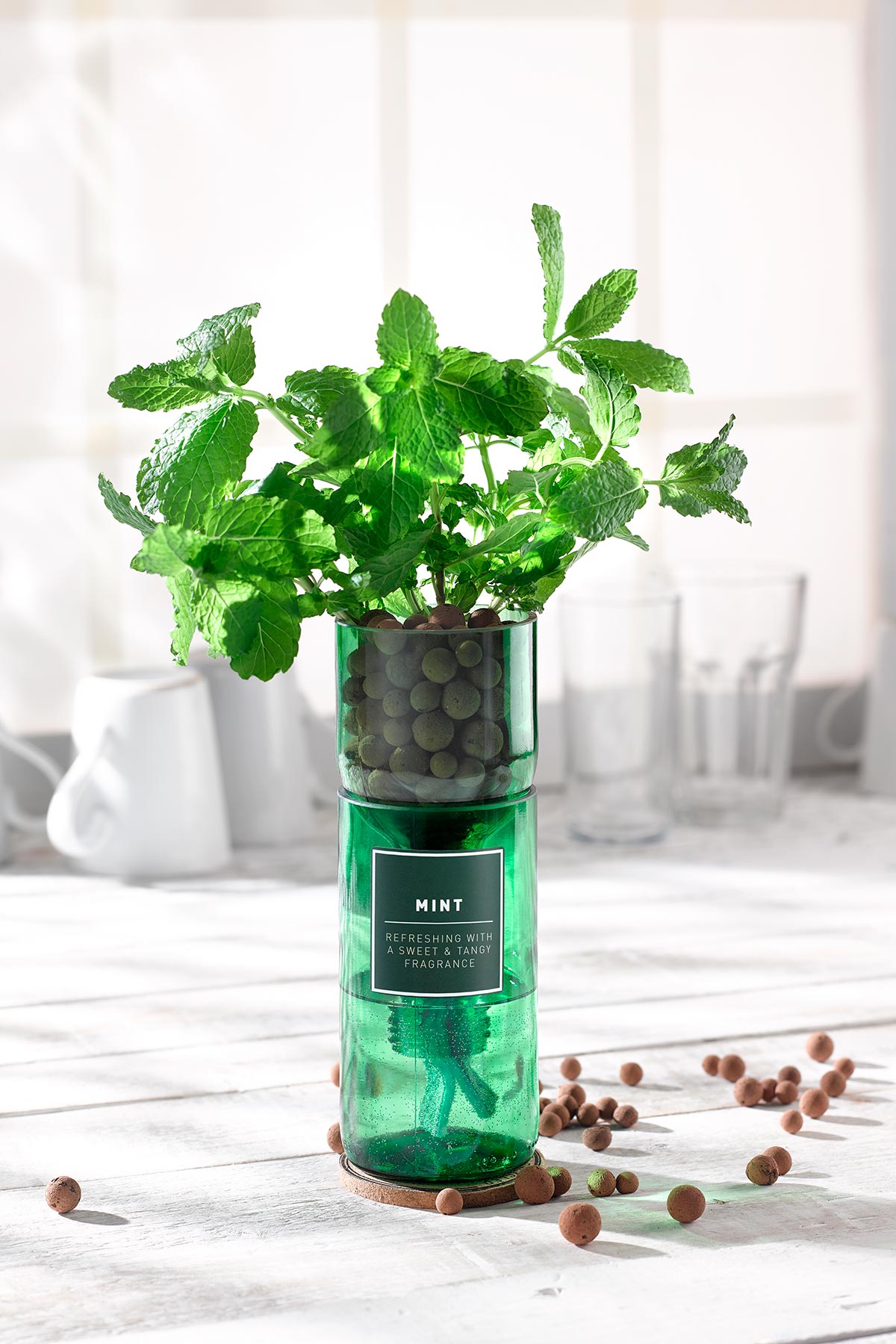 Mint herb growing kit by Hydro-Herb, available at Urban Wild