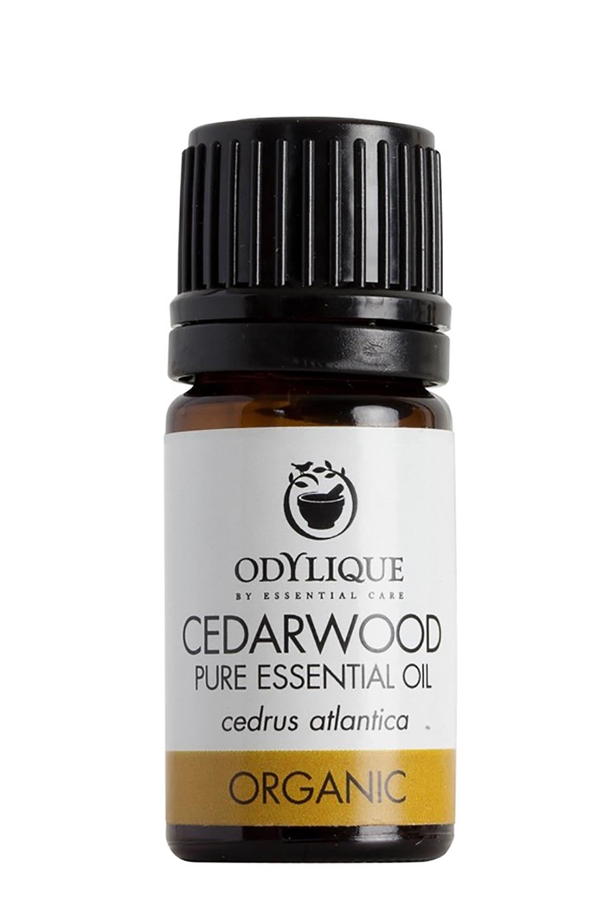 Cedarwood essential oil by Odylique