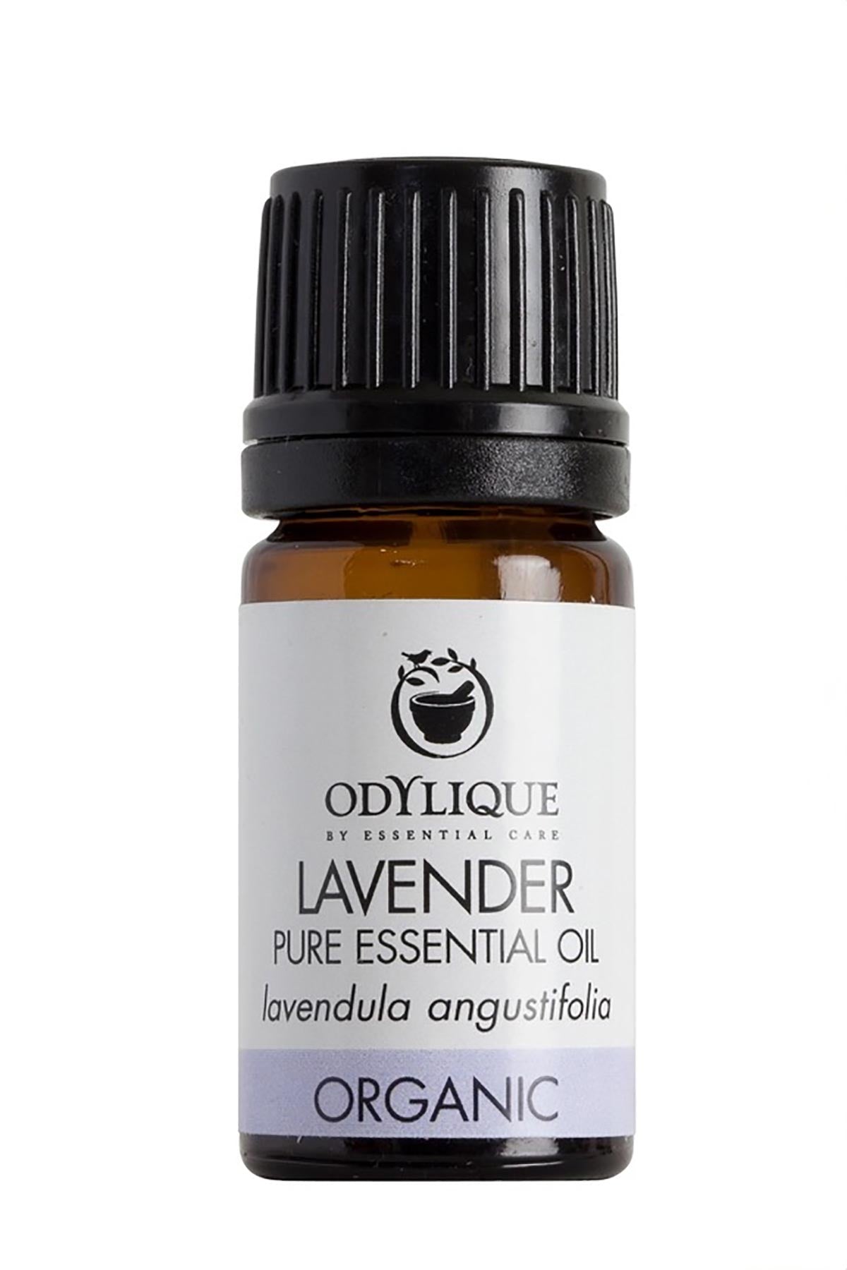 Lavender essential oil by Odylique