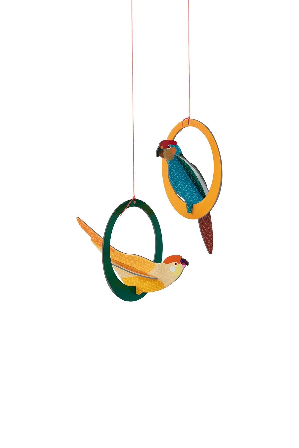 Studio Roof parakeets pop-out greeting card