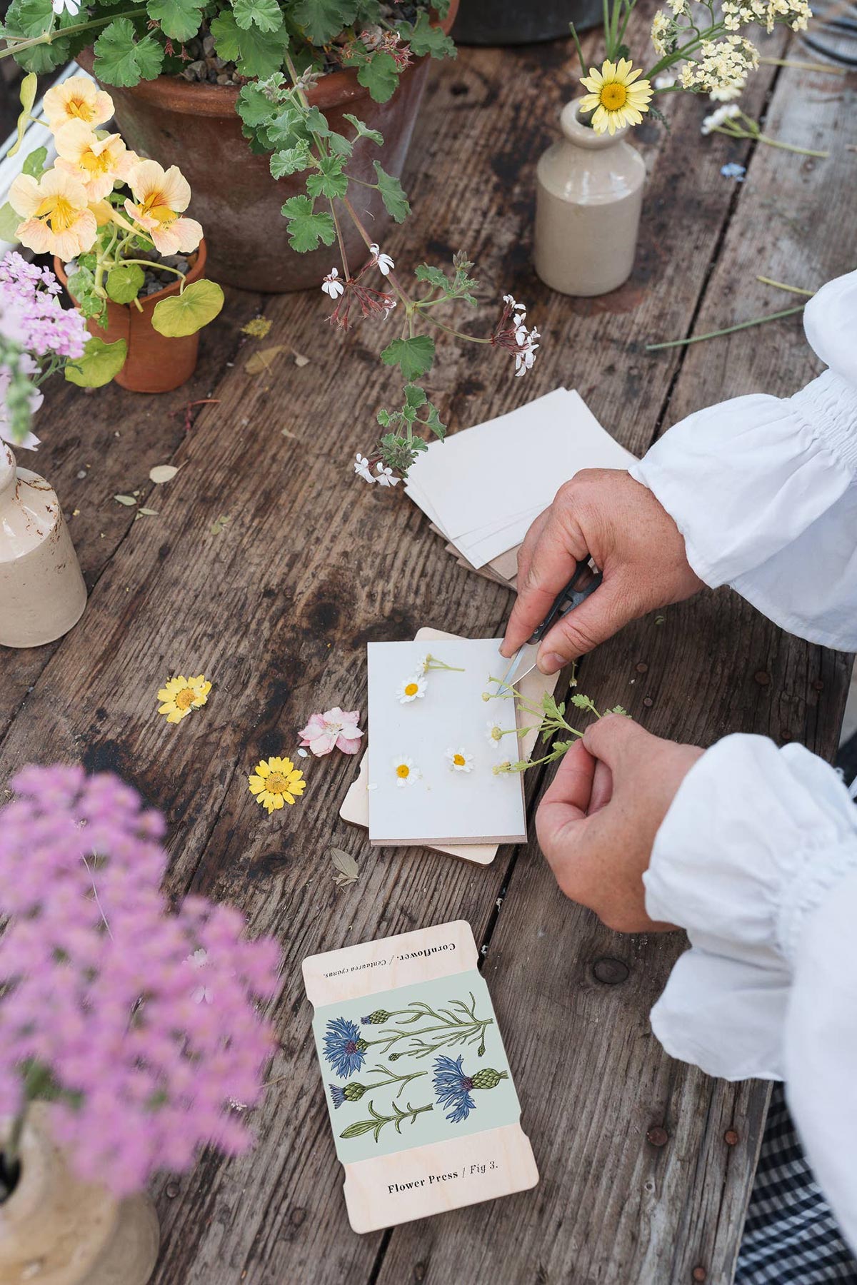 Using Vintage Cornflower press on a nature walk