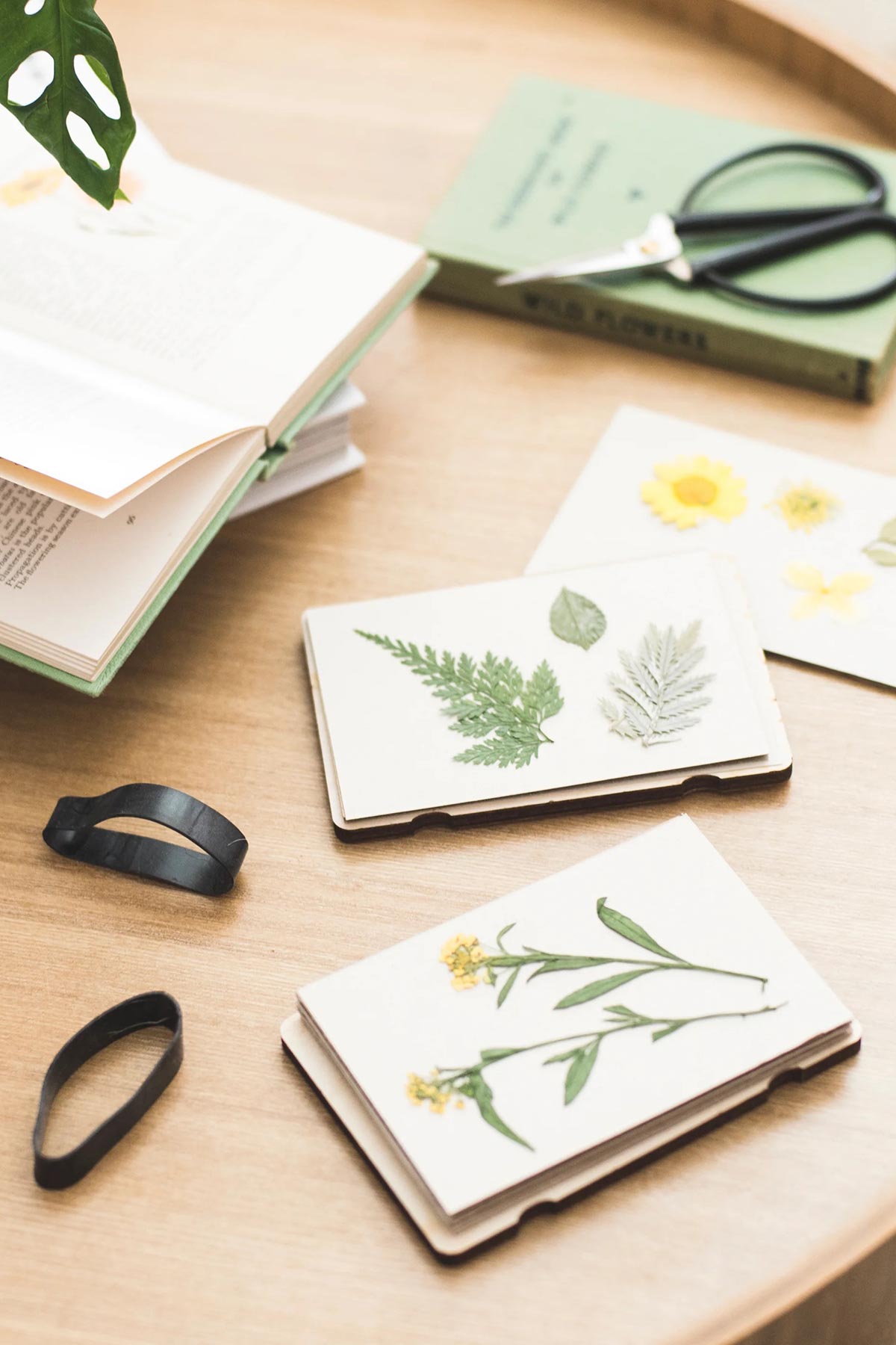 Open fern-themed pocket press with layers