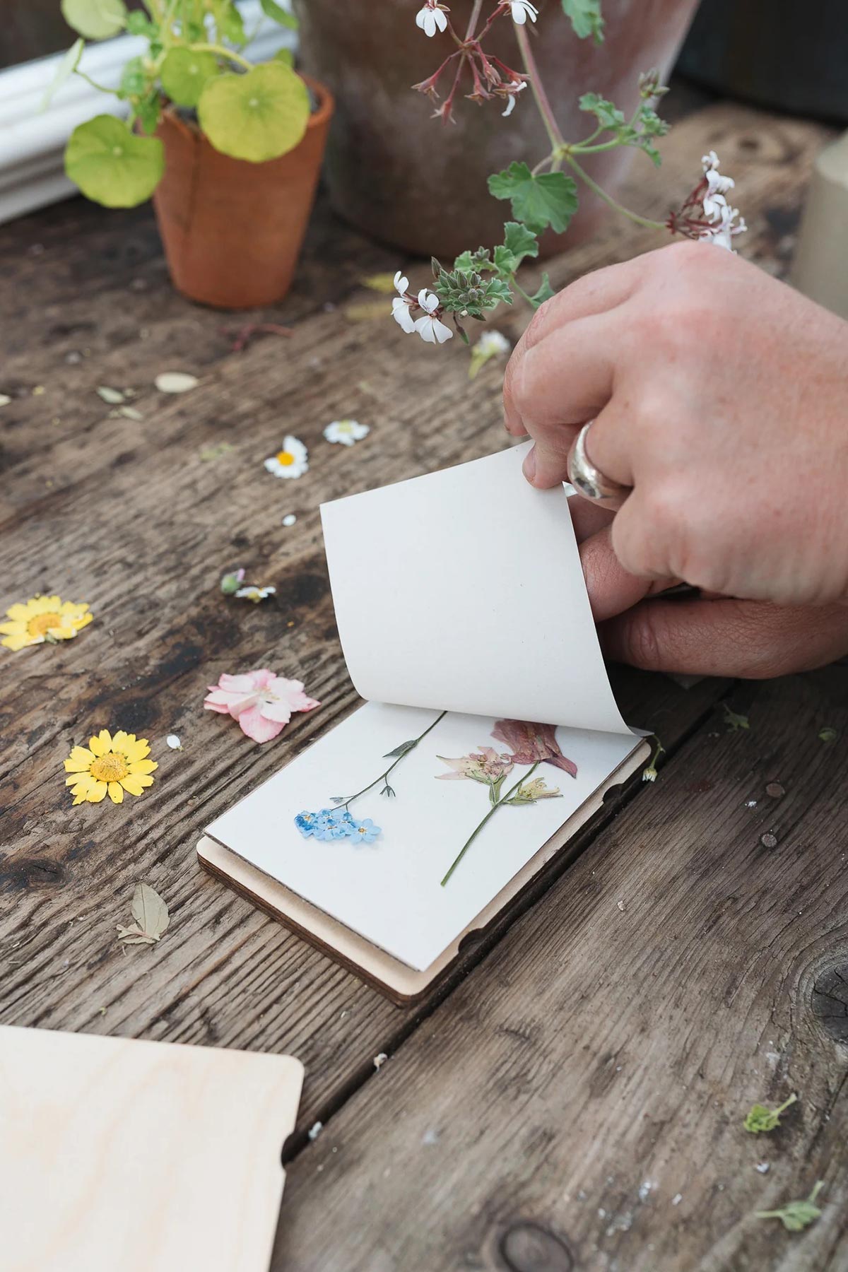 Person pressing flowers outdoors with Studio Wald press