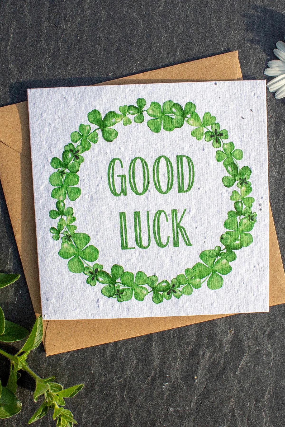 The Naughty Shrew plantable good luck card, eco-friendly seed paper card from Urban Wild
