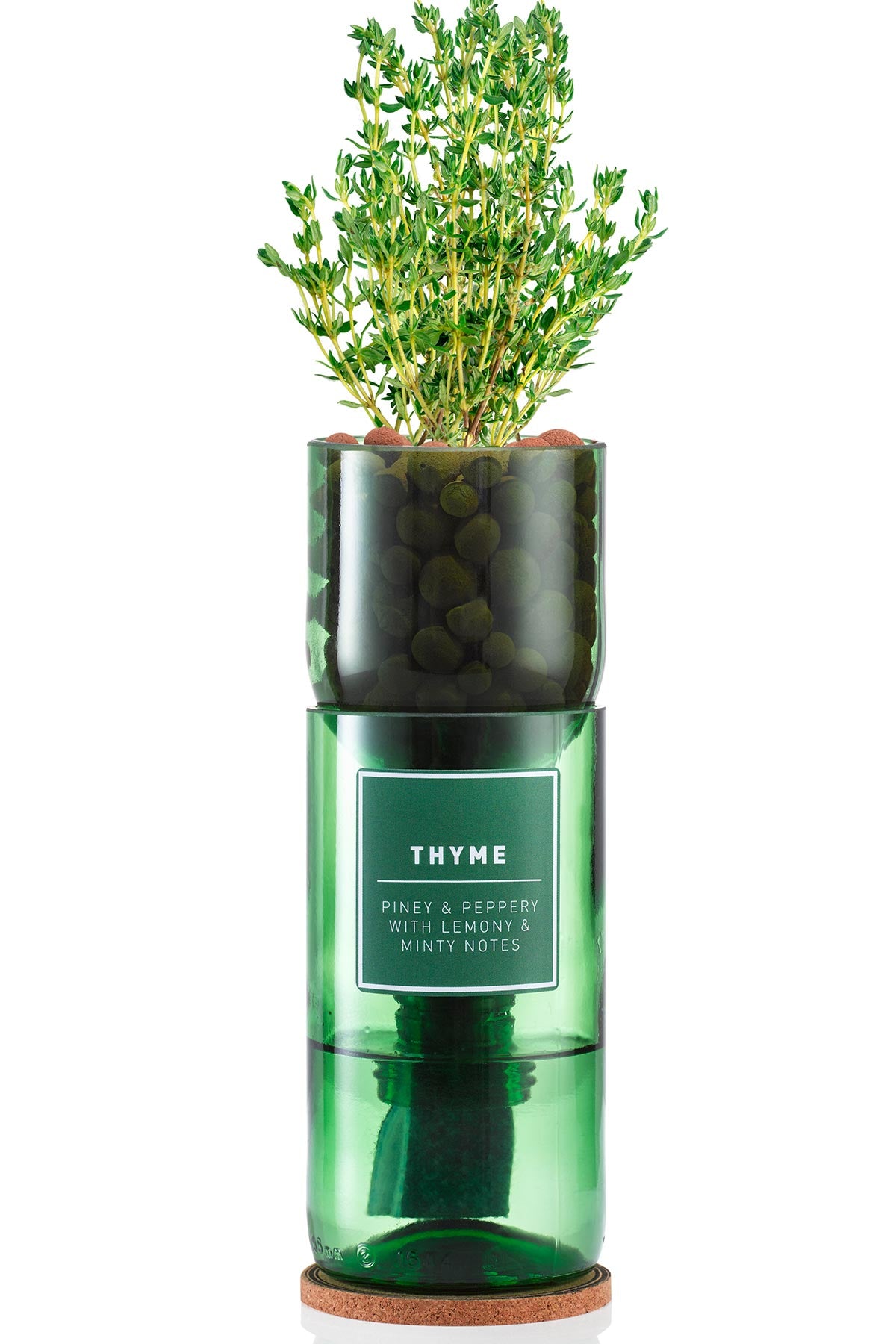 Grow crimson basil at home