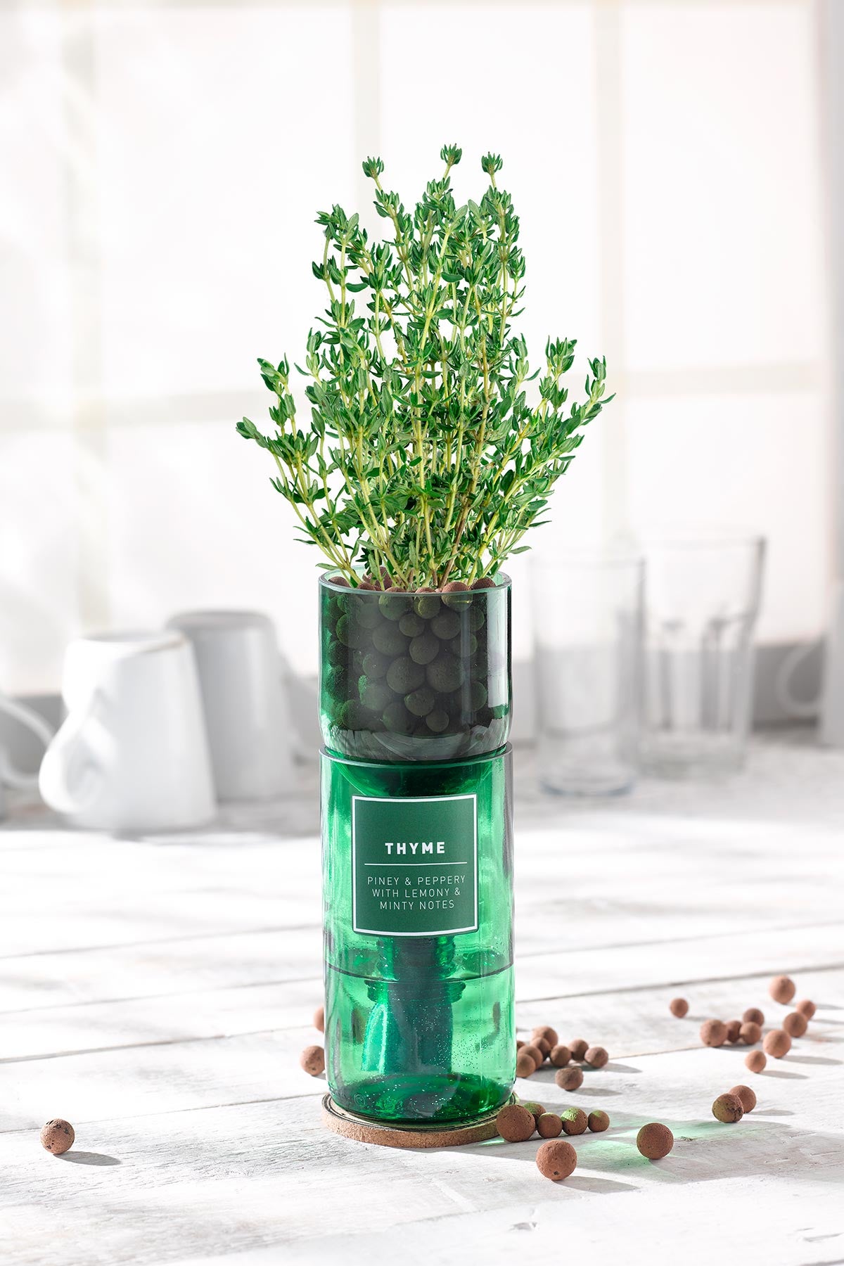 Thyme herb growing kit by Hydro-Herb