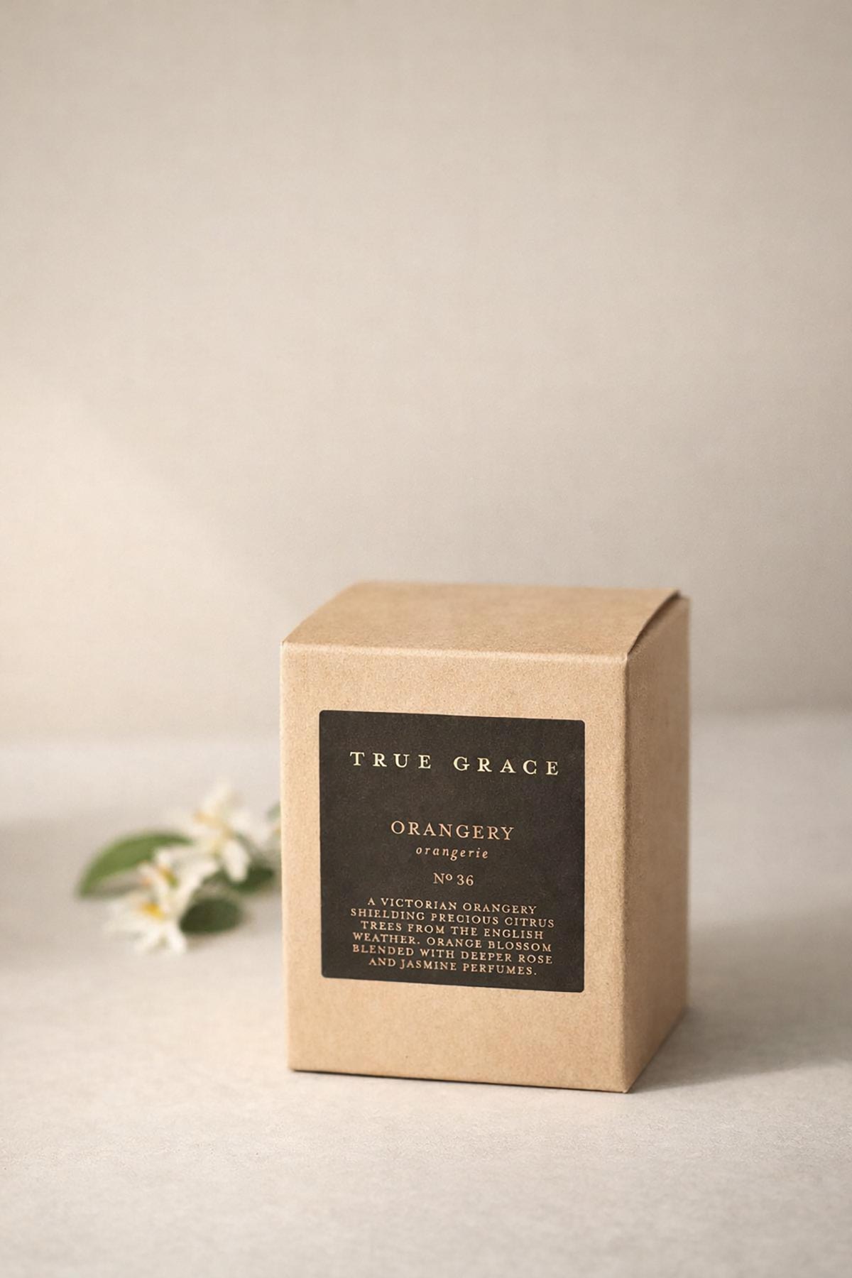 True Grace Orangery 20cl Candle natural citrus candle at Urban Wild