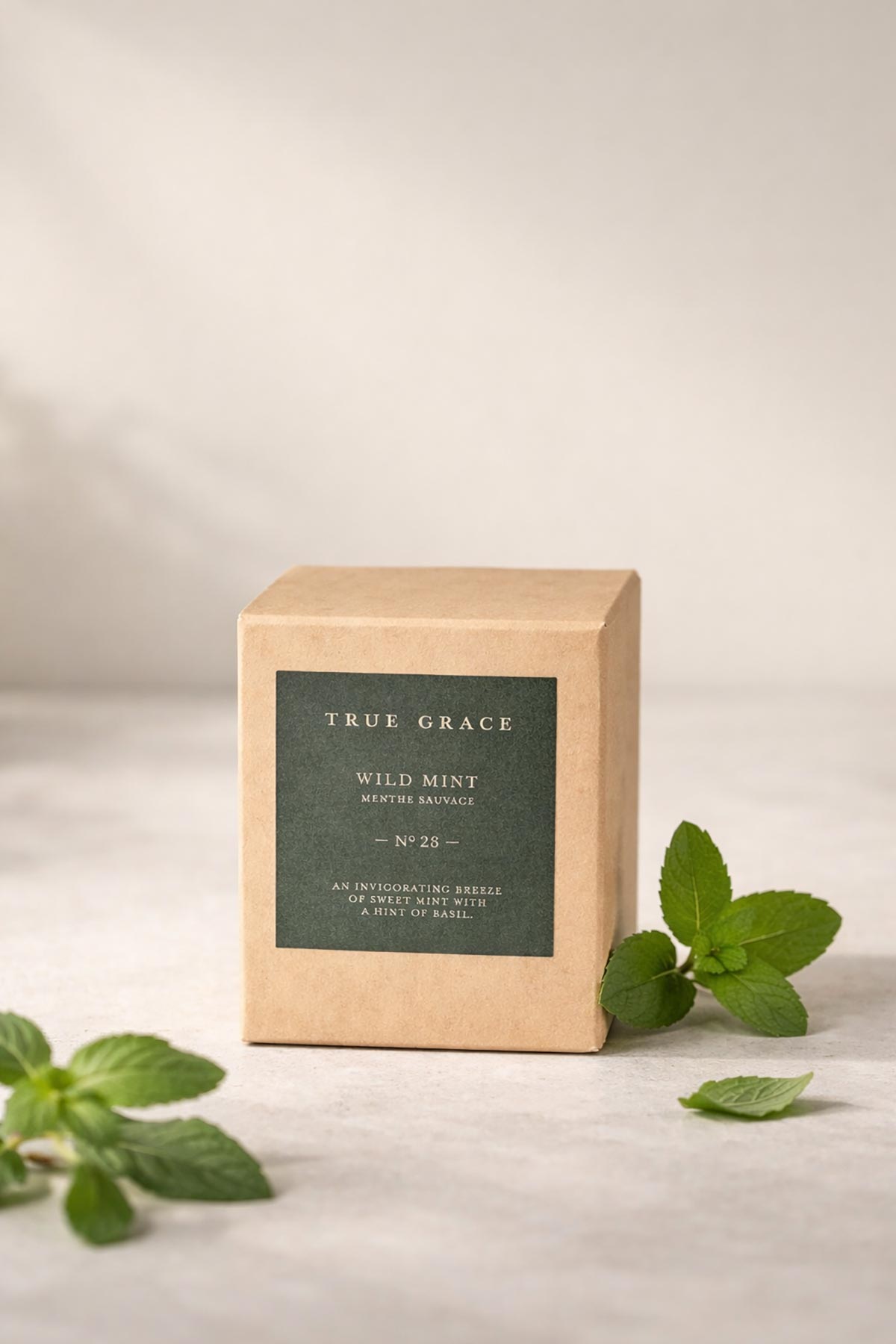 True Grace Wild Mint 20cl Candle fresh herbal natural candle at Urban Wild