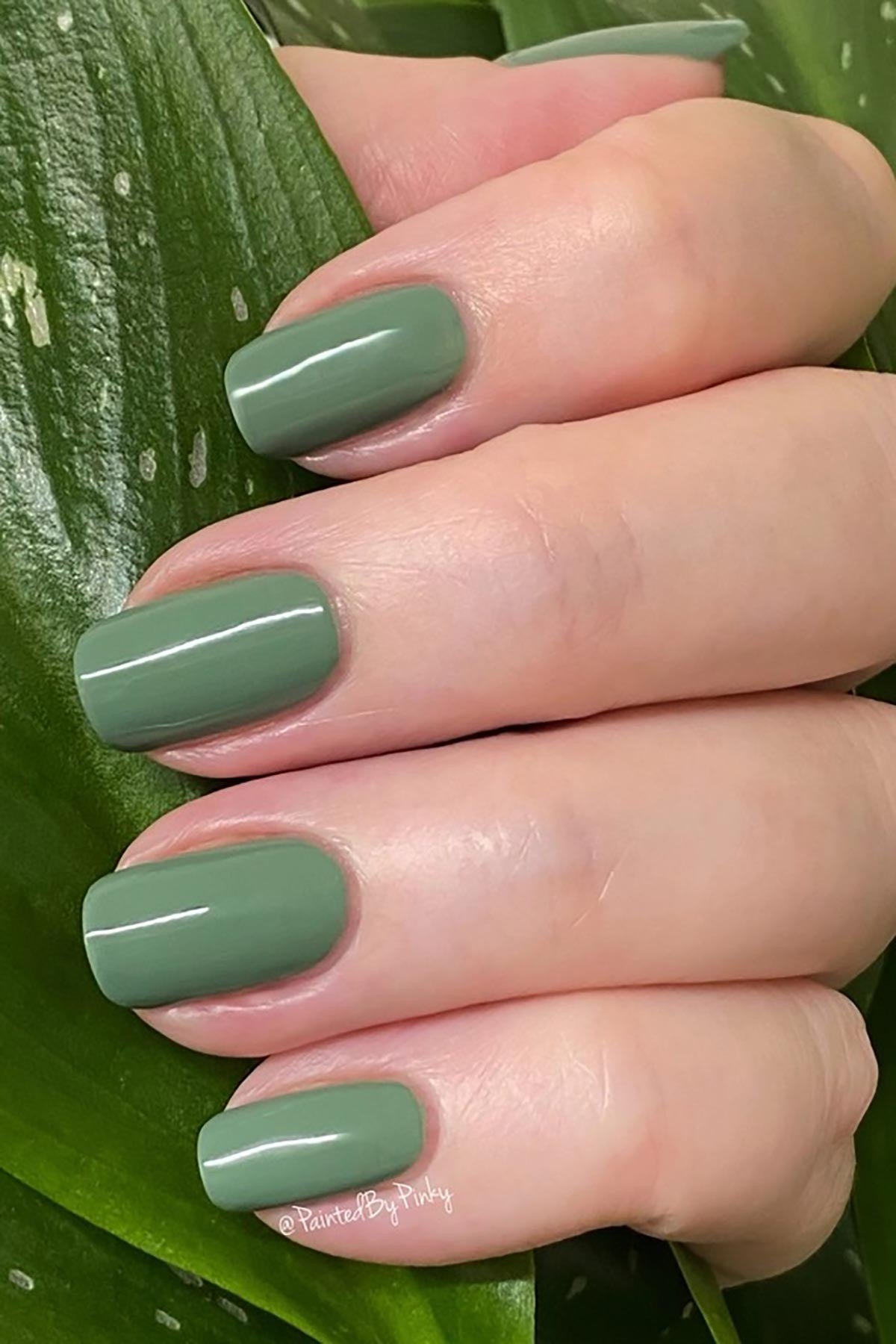 Nailture Green Herbal Sage Plant-Based Nail Polish — Urban Wild