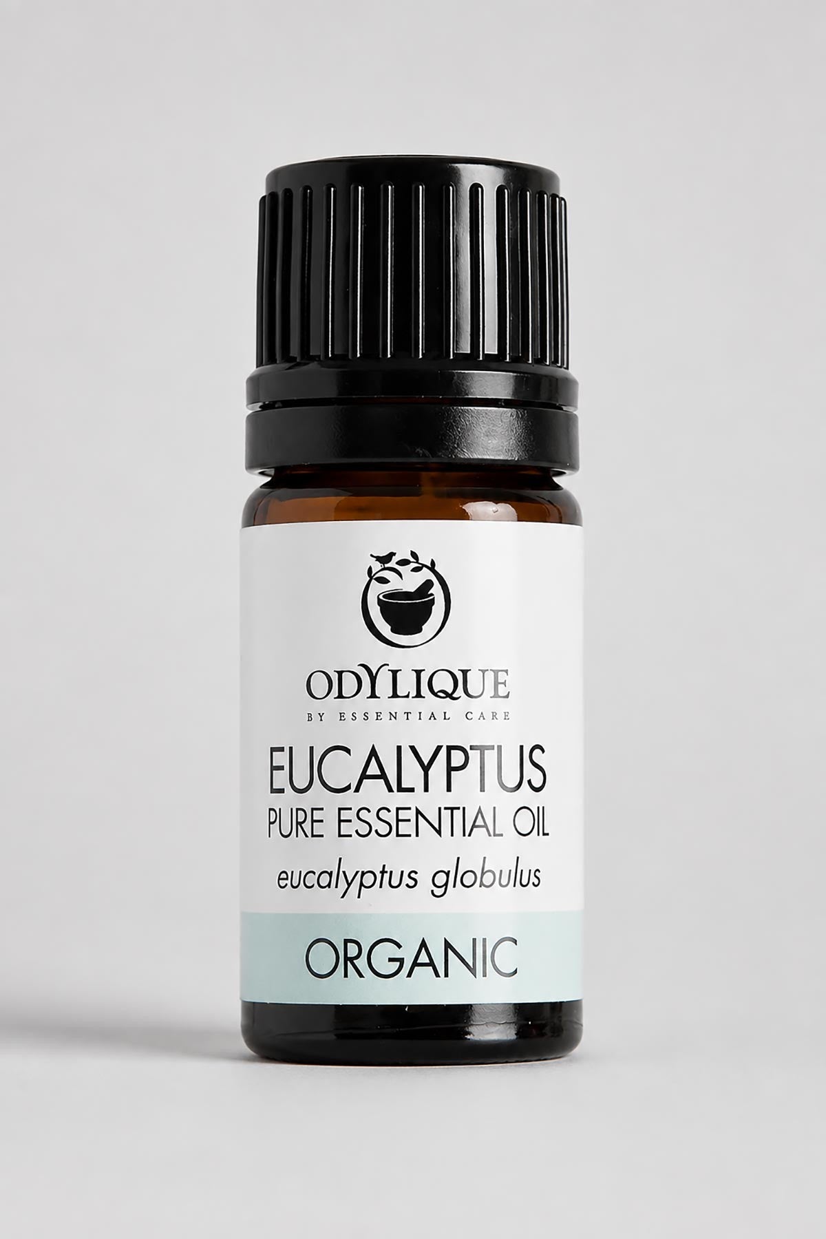 Organic Eucalyptus Essential Oil — Urban Wild