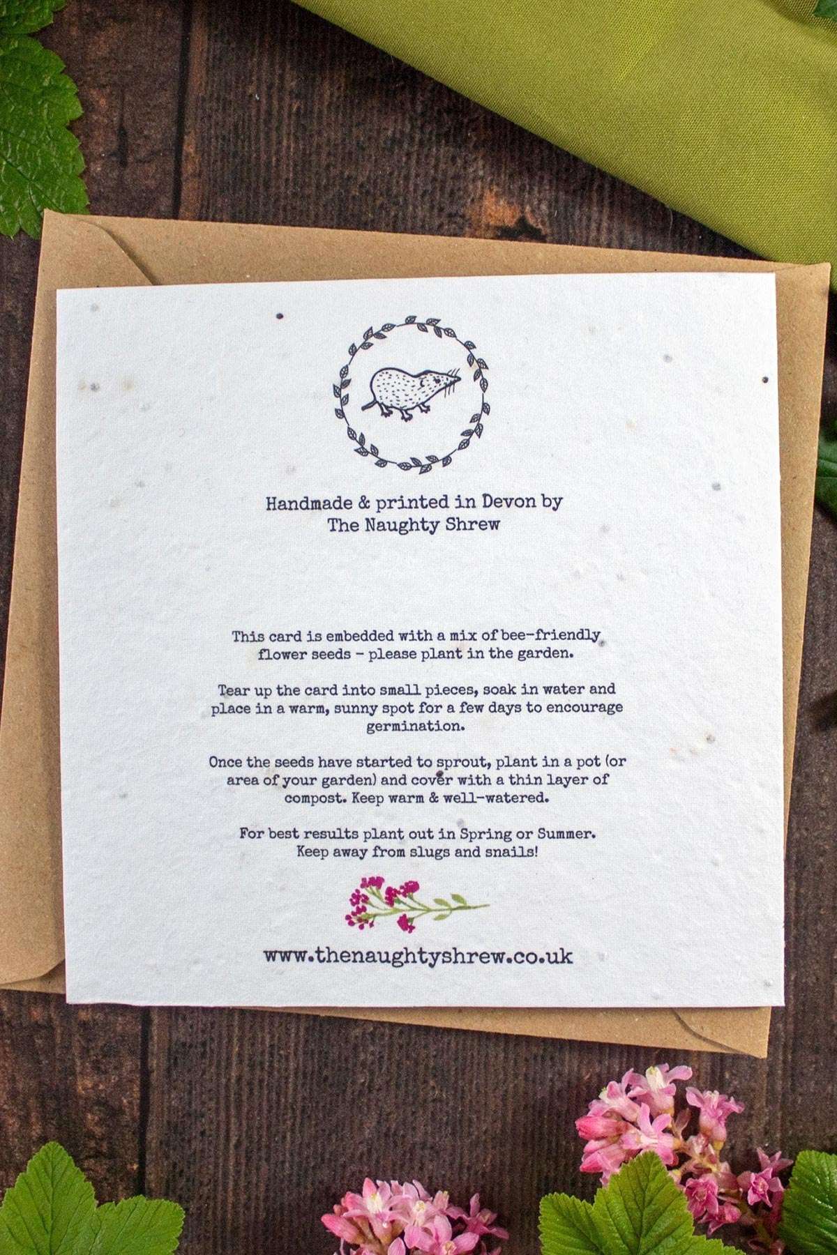 Reverse of plantable peacock greeting card showing planting instructions — Urban Wild