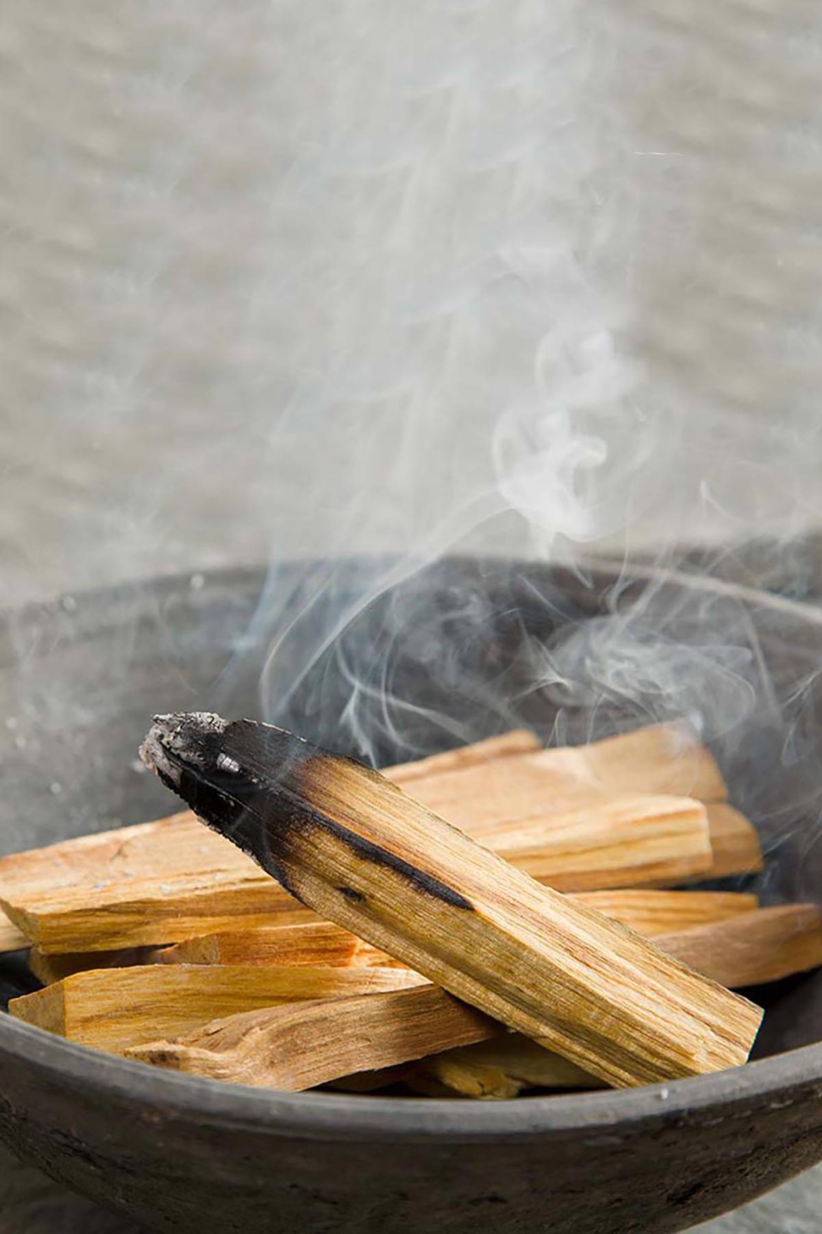 Ancient Wisdom 25g Green Tree Palo Santo Sticks