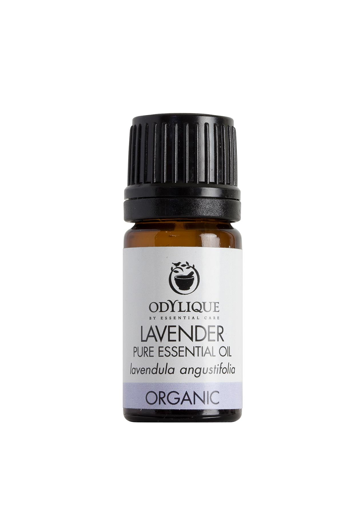 Odylique Organic Lavender Essential Oil