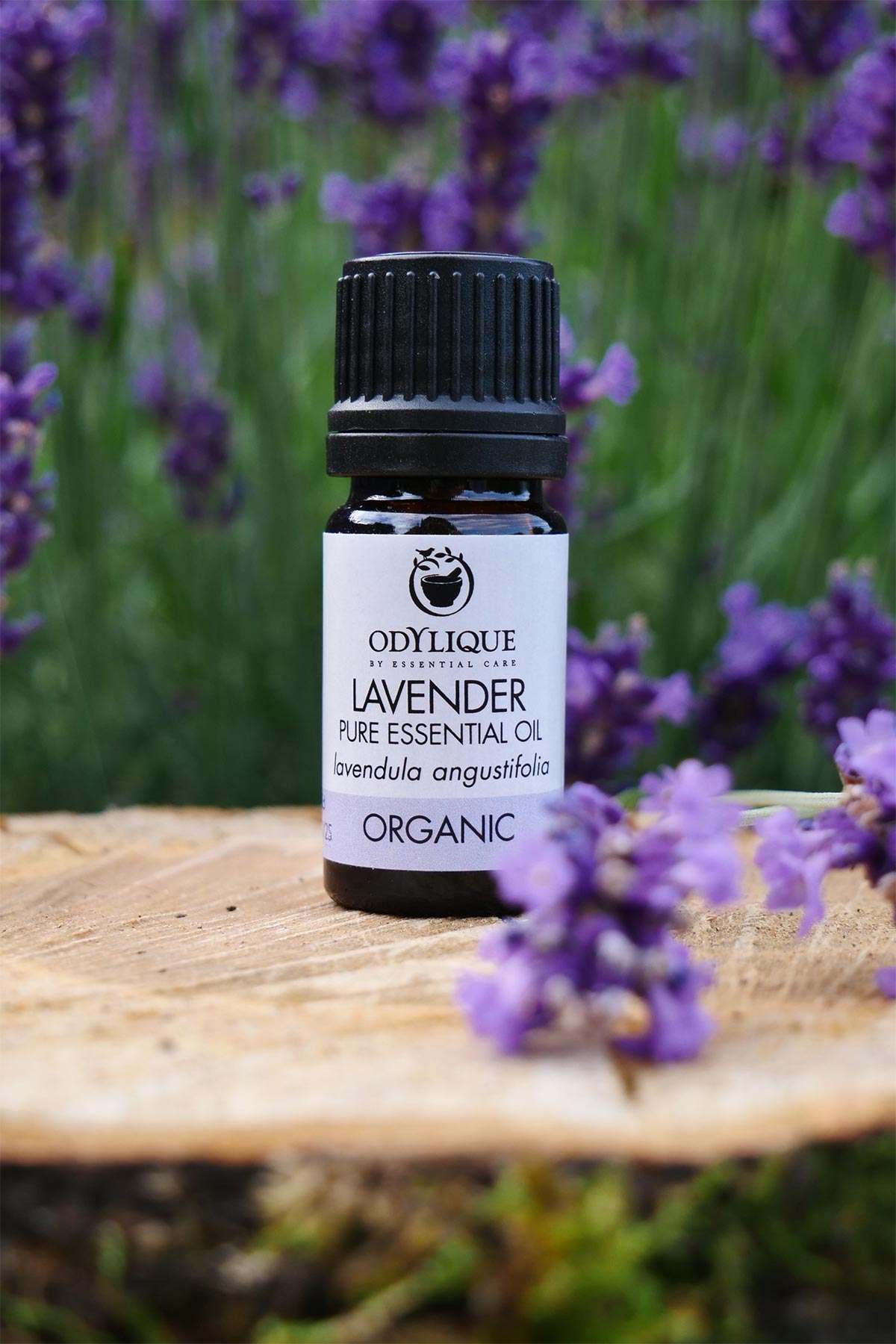 Odylique Organic Lavender Essential Oil