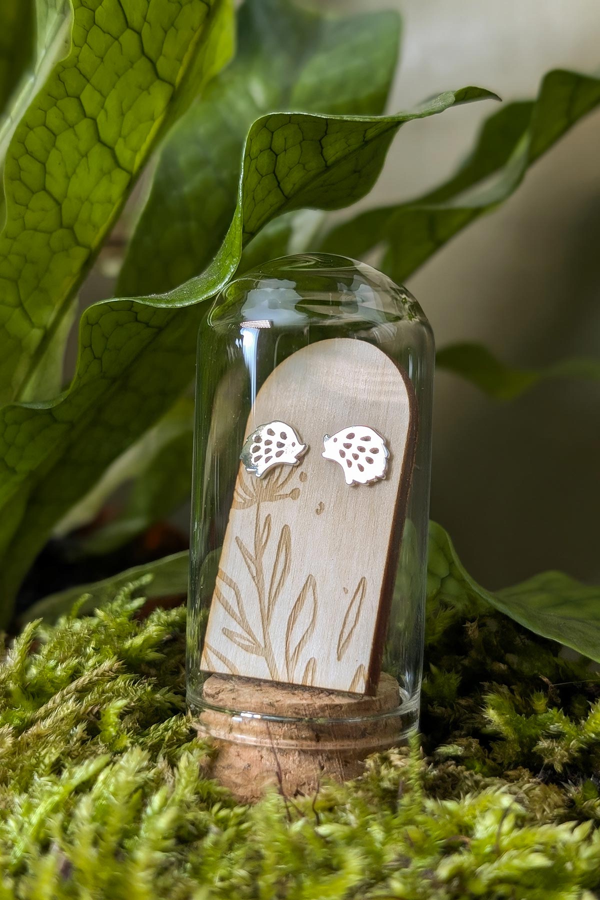 Hedgehog sterling silver studs by Banksia Botanicals at Urban Wild