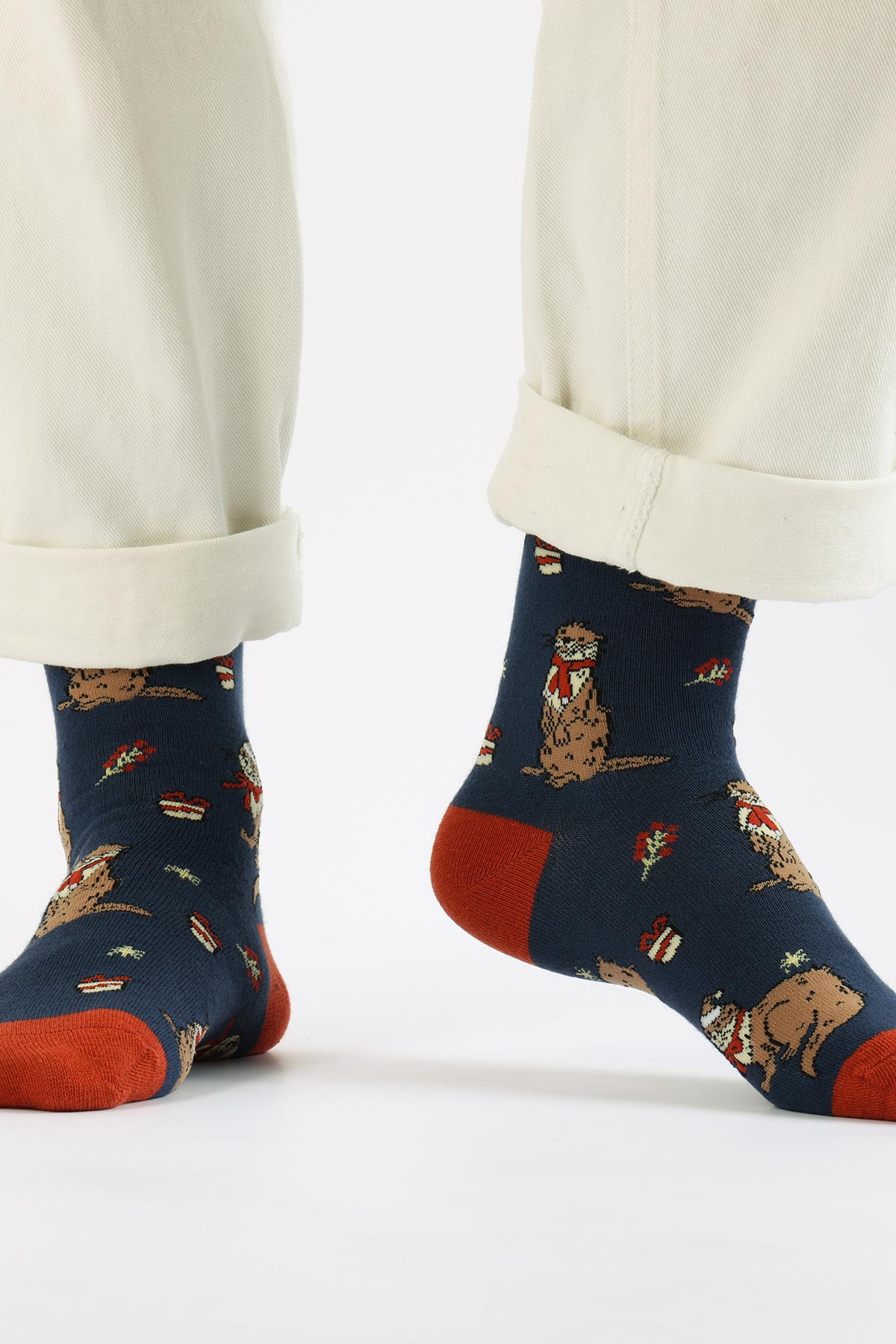 Christmas otter socks styled as gift