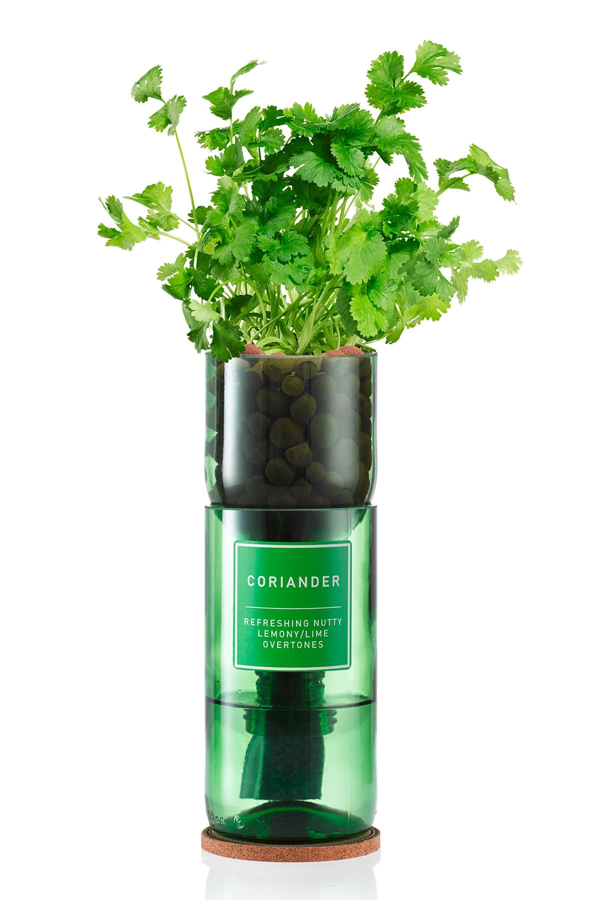 Coriander herb growing kit by Hydro-Herb