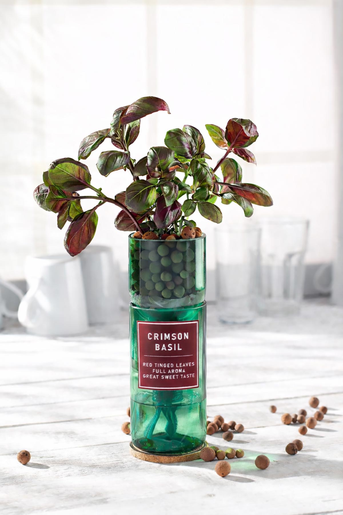 Crimson basil herb growing kit by Hydro-Herb