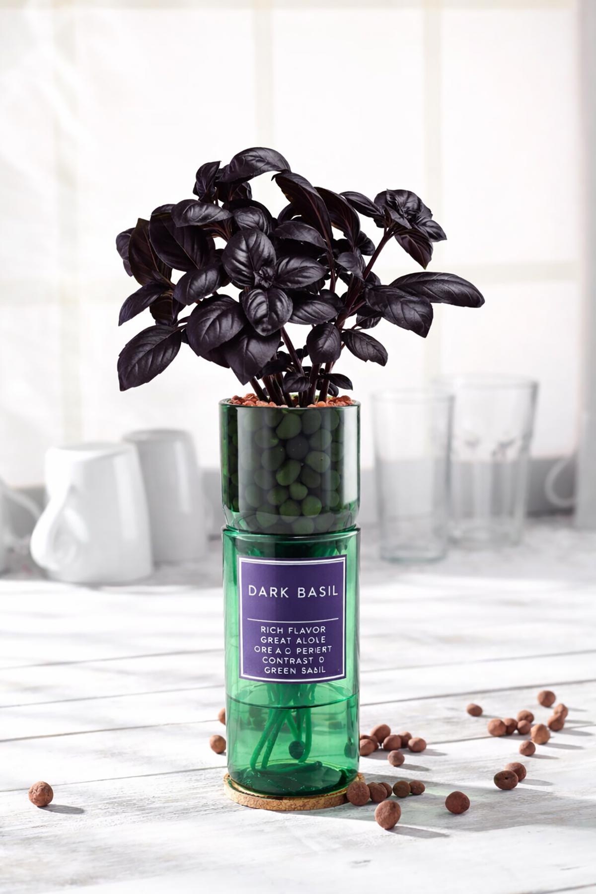 Dark basil herb growing kit by Hydro-Herb, available at Urban Wild