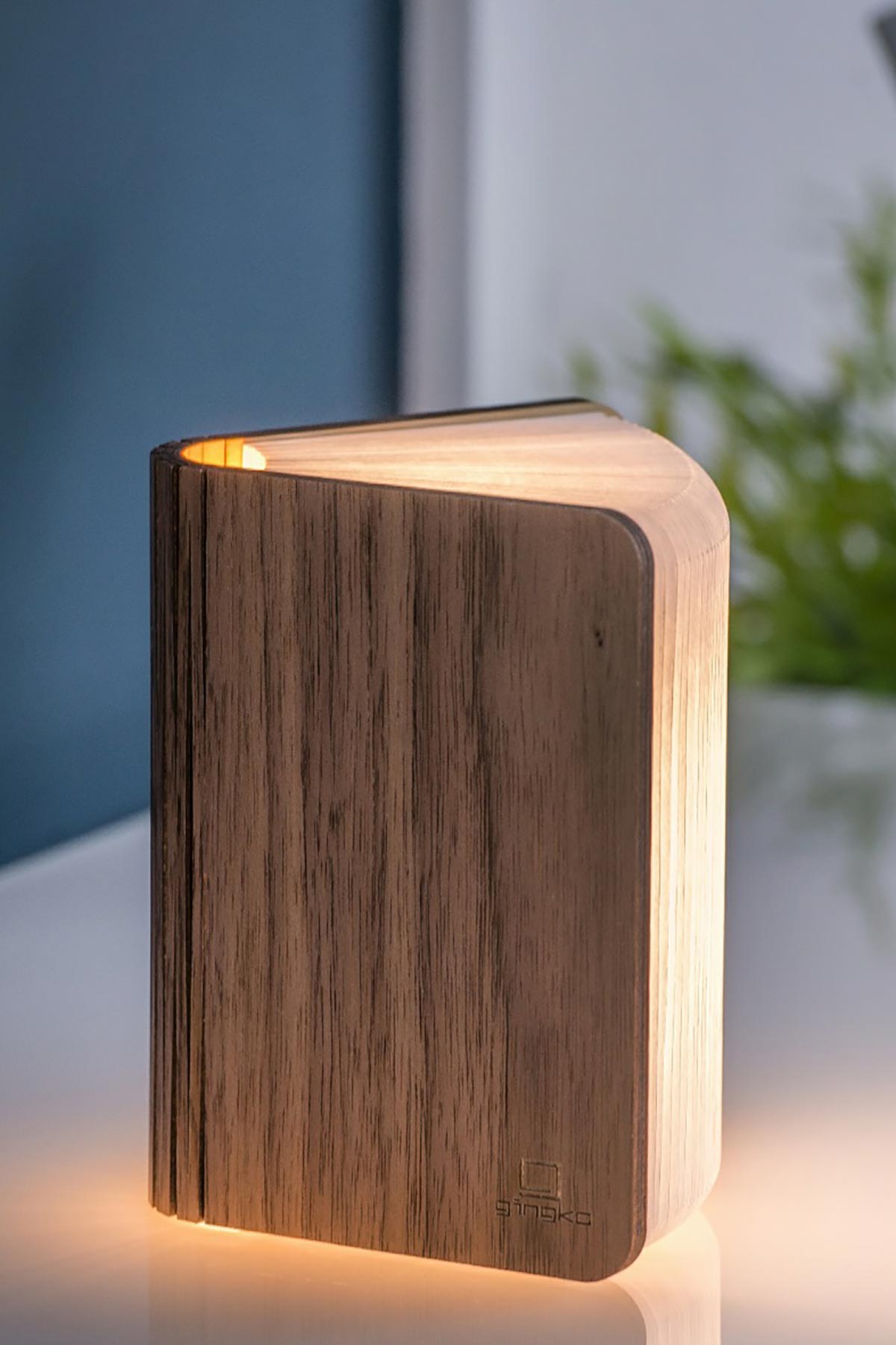 Mini Book Light opened to show glowing pages