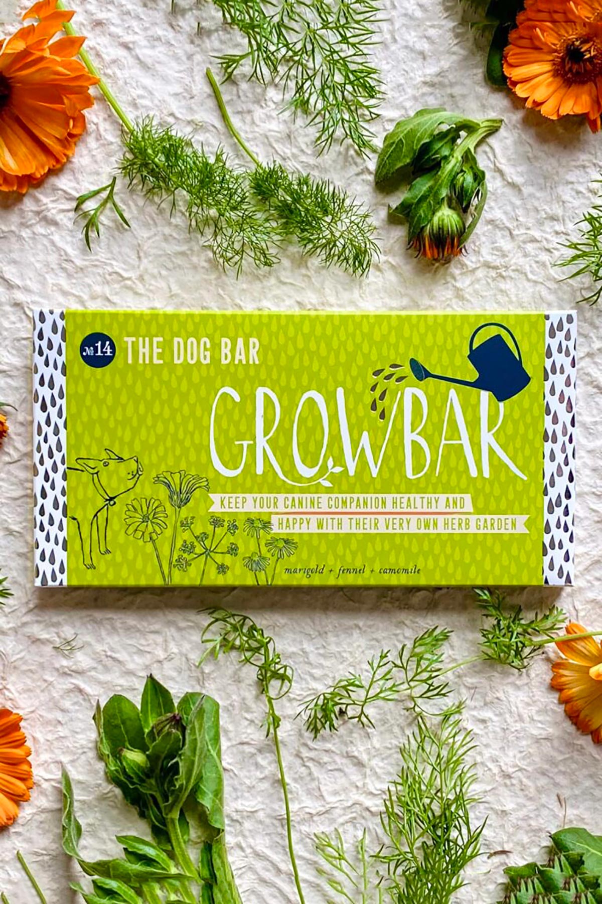 Dog Growbar packaging pet friendly plant growing kit by Growbar at Urban Wild
