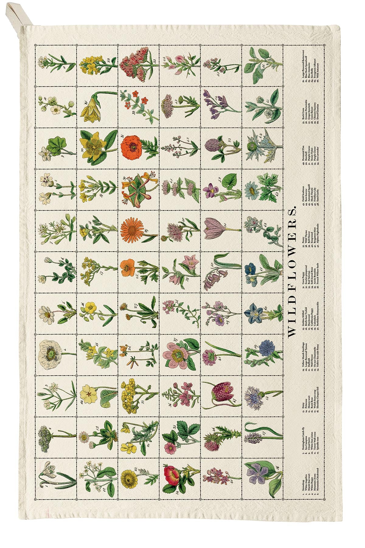 Colourful illustrated wildflowers kitchen tea towel