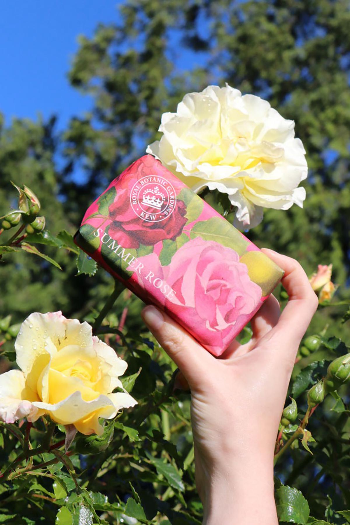 Close-up detail of Kew Gardens Summer Rose Soap wrapped design