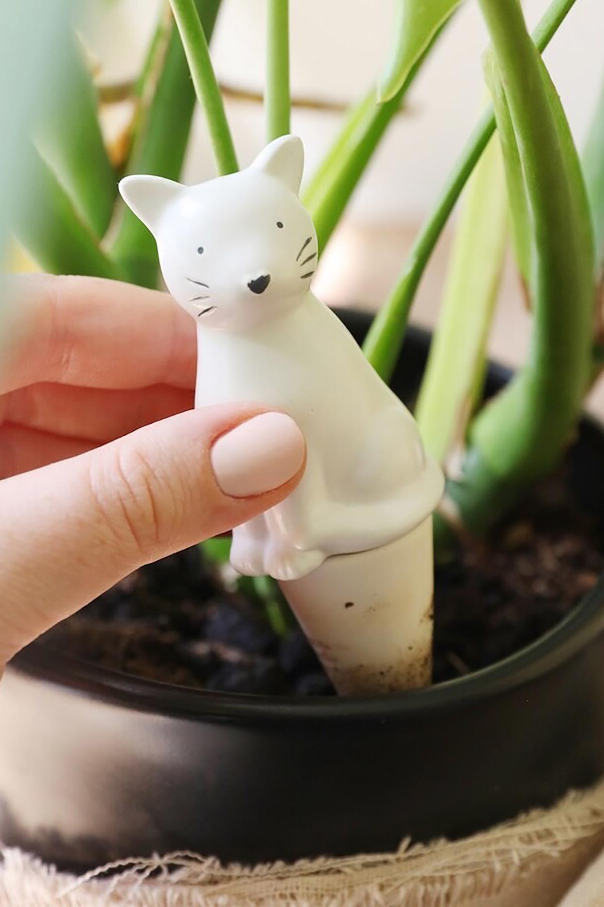 Cat watering spike inserted in plant pot