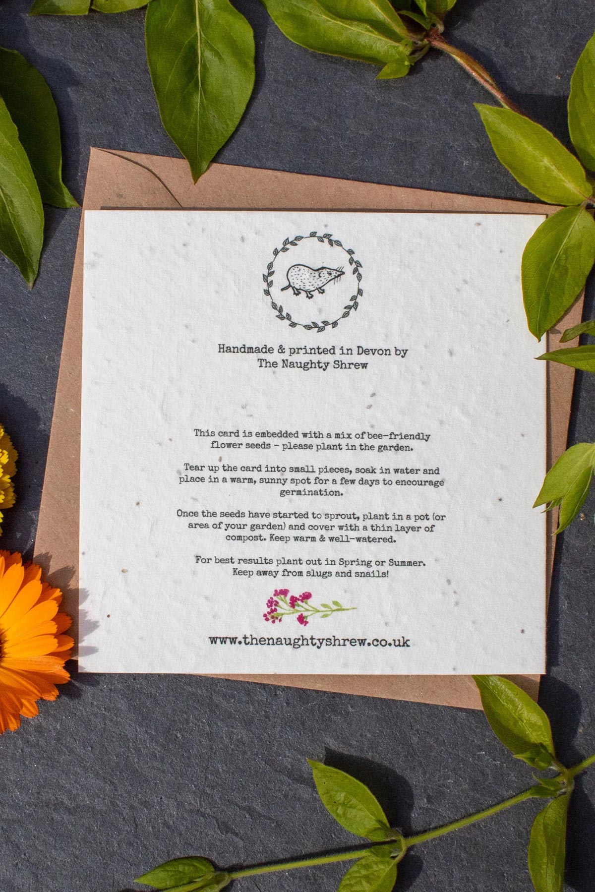 Eco-friendly Birds & Roses plantable birthday card by The Naughty Shrew made from wildflower seed paper