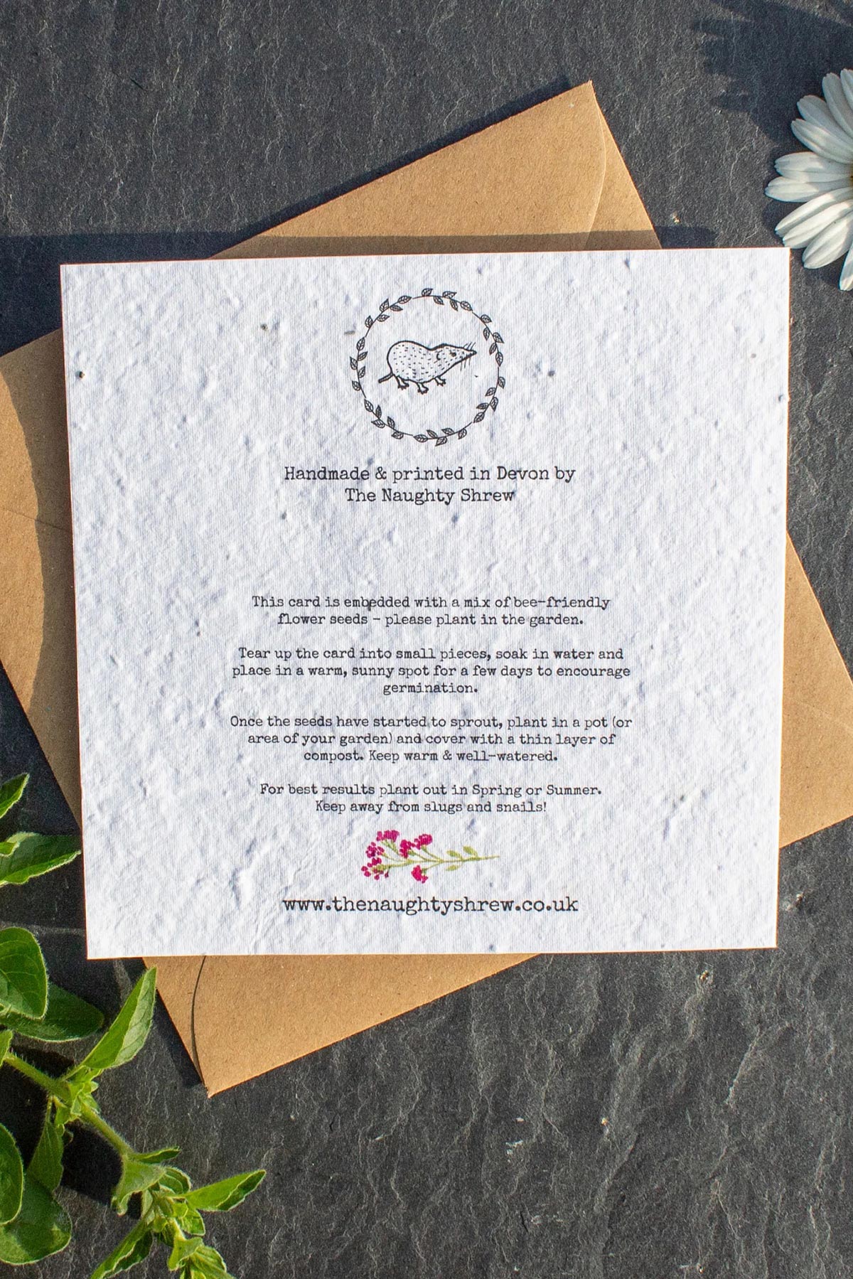 Eco-friendly good luck plantable card by The Naughty Shrew made from wildflower seed paper