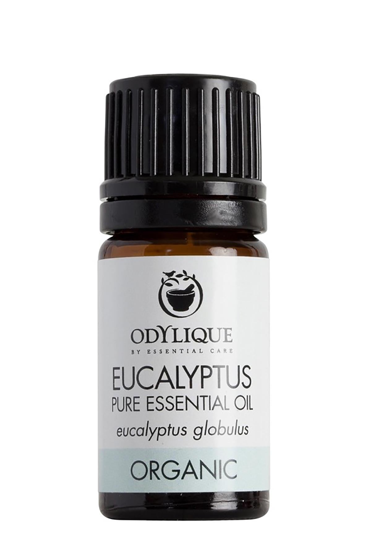 Eucalyptus essential oil by Odylique