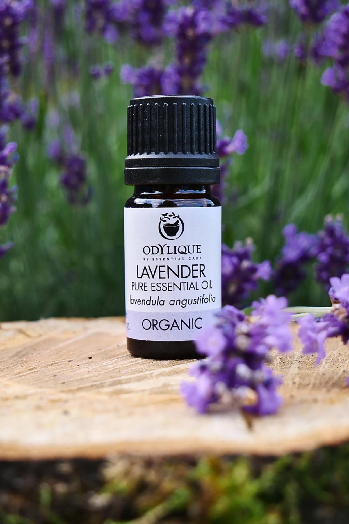 Organic lavender oil