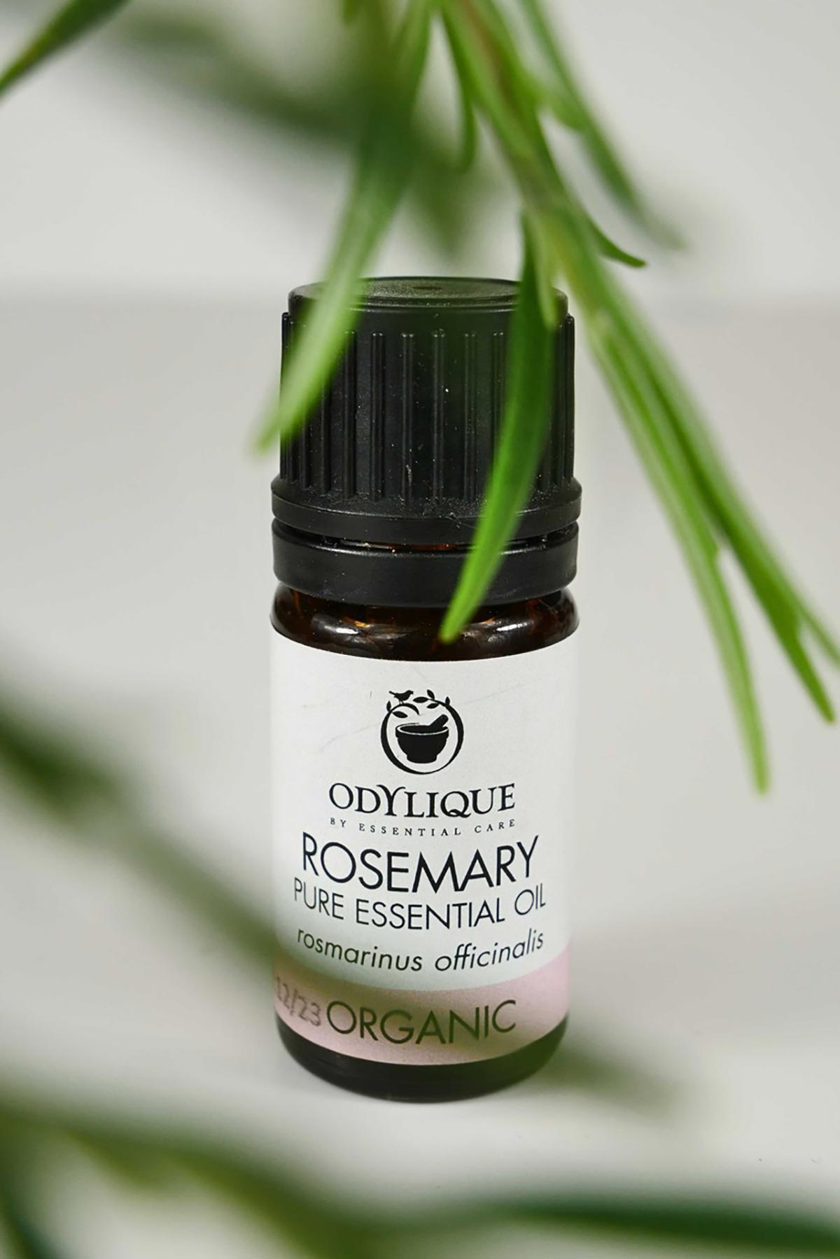 Rosemary essential oil by Odylique