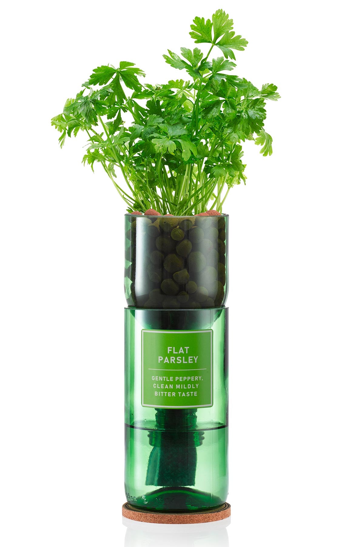 Grow your own parsley at home kit